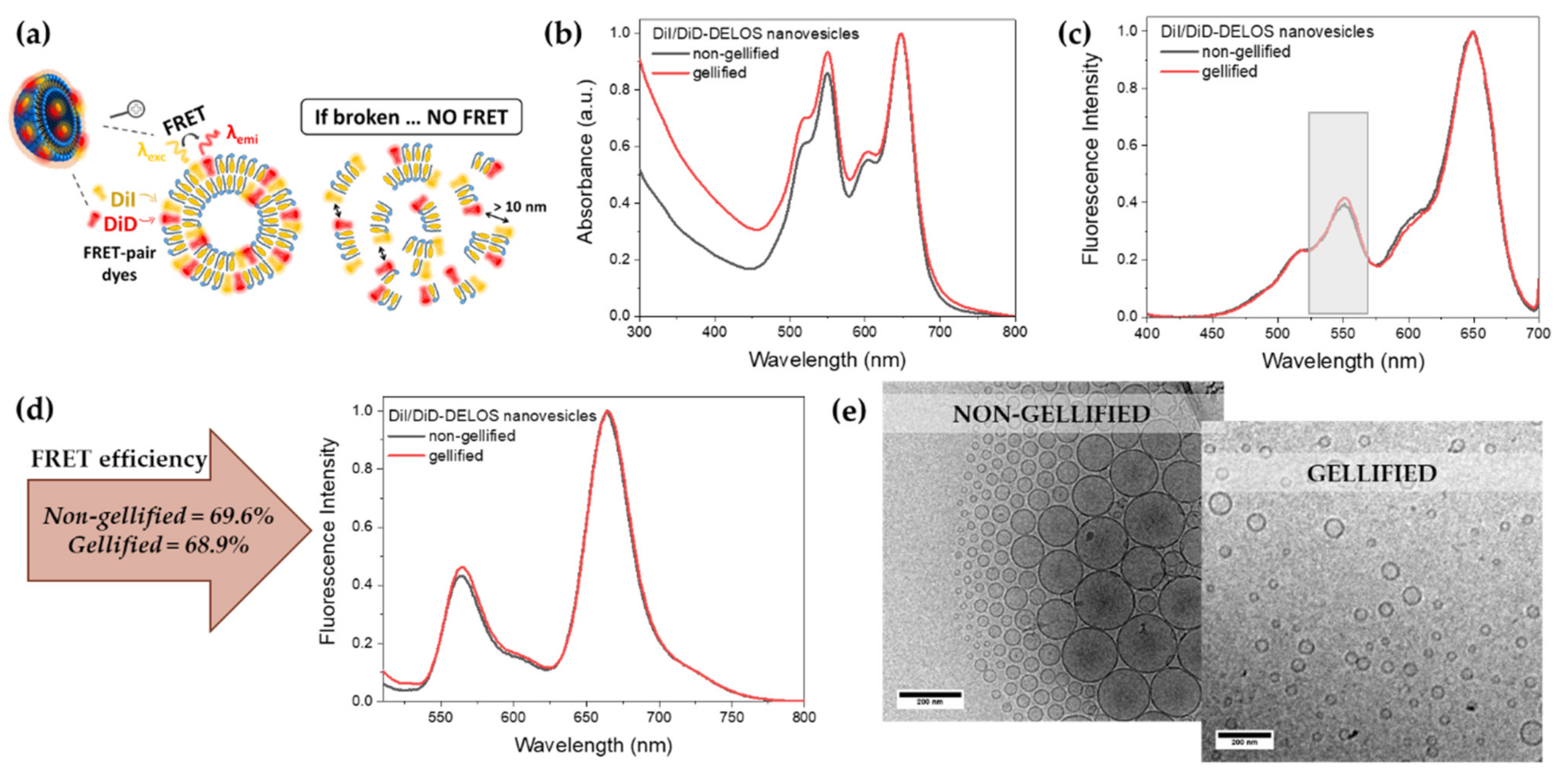 Pharmaceutics 14 00199 g007 550