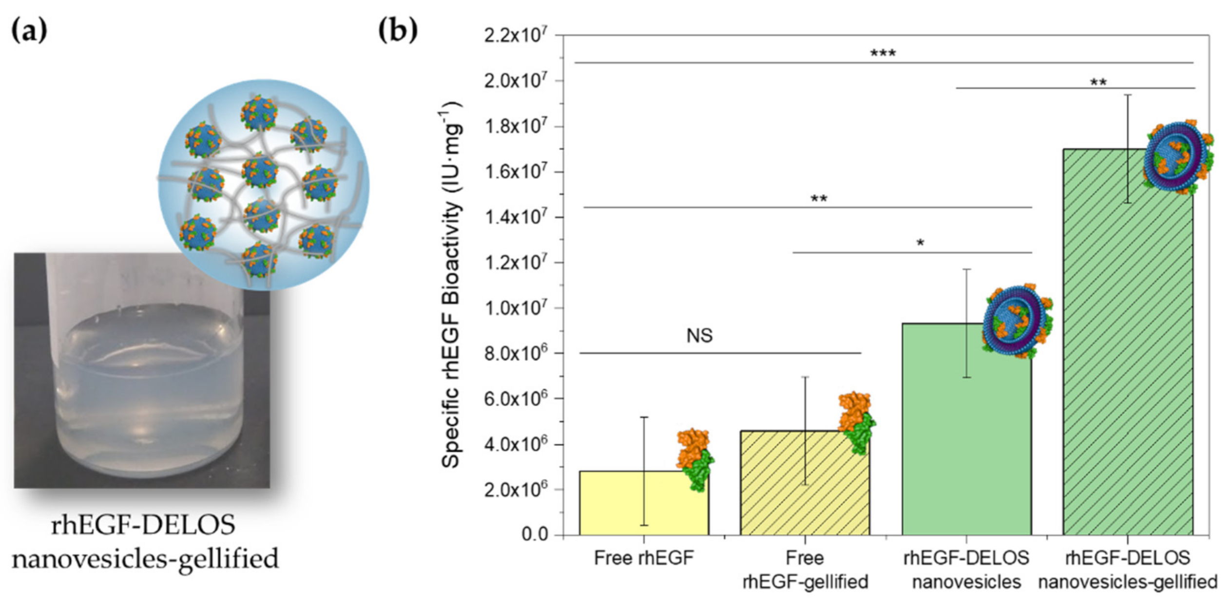 Pharmaceutics 14 00199 g008 550