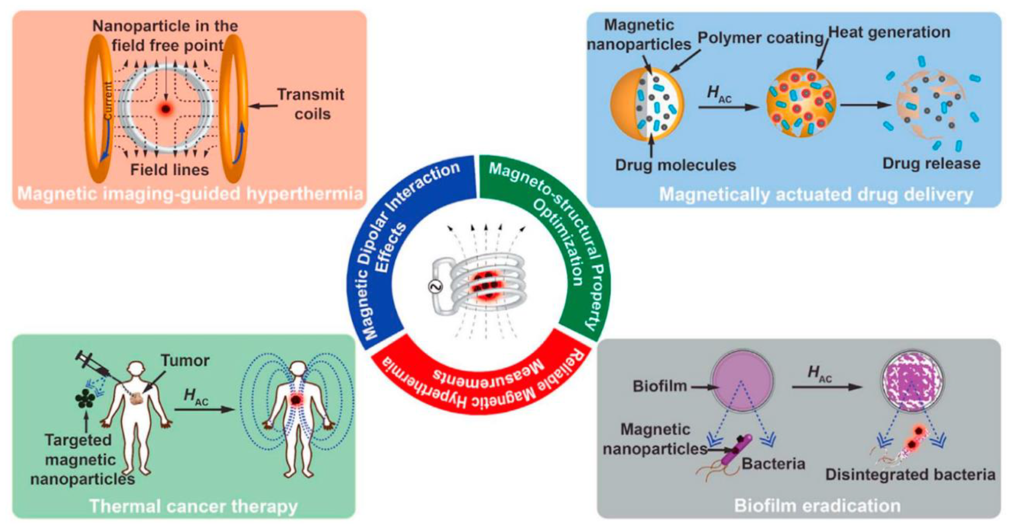 Pharmaceutics 14 00204 g003