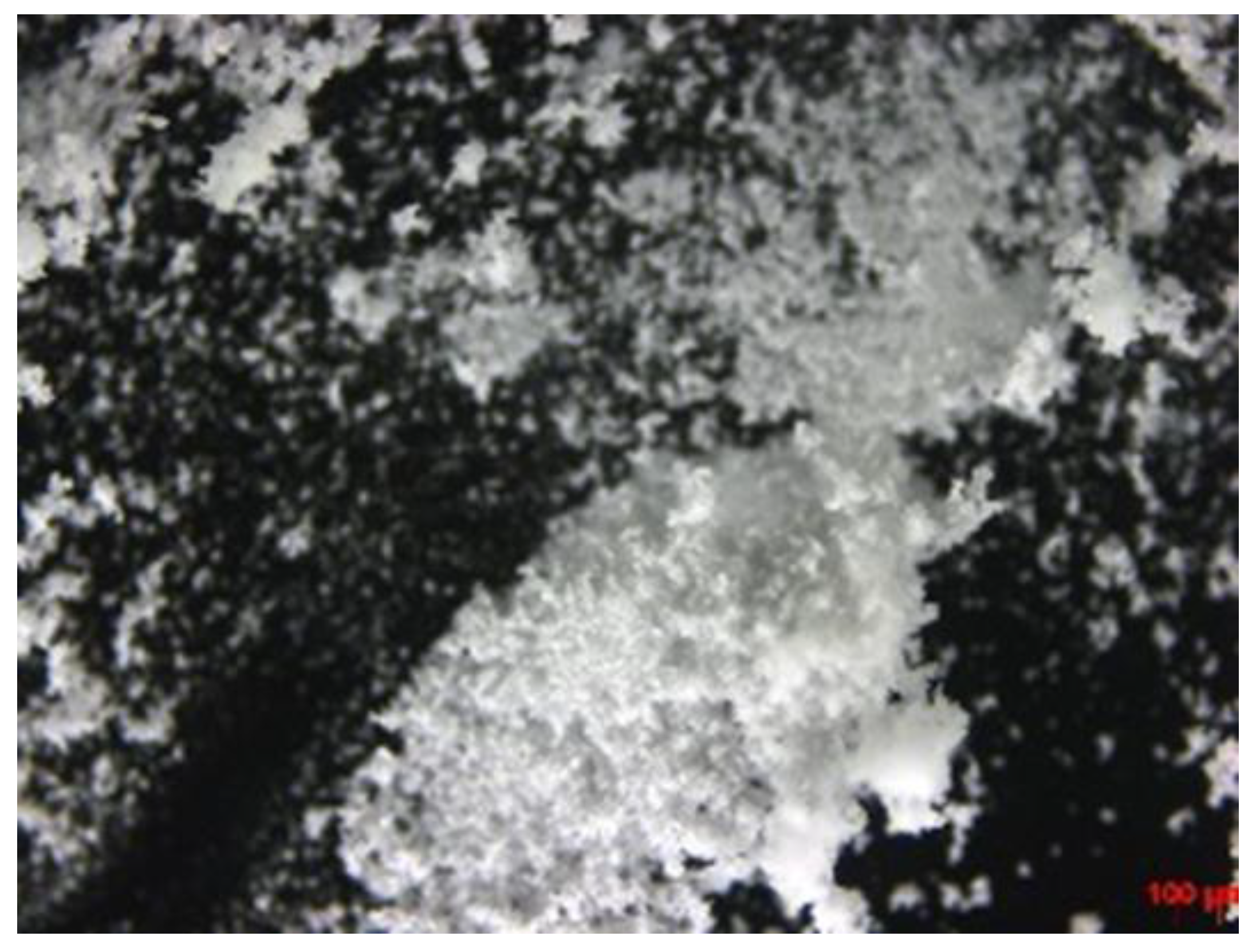 Pharmaceutics 14 00205 g003