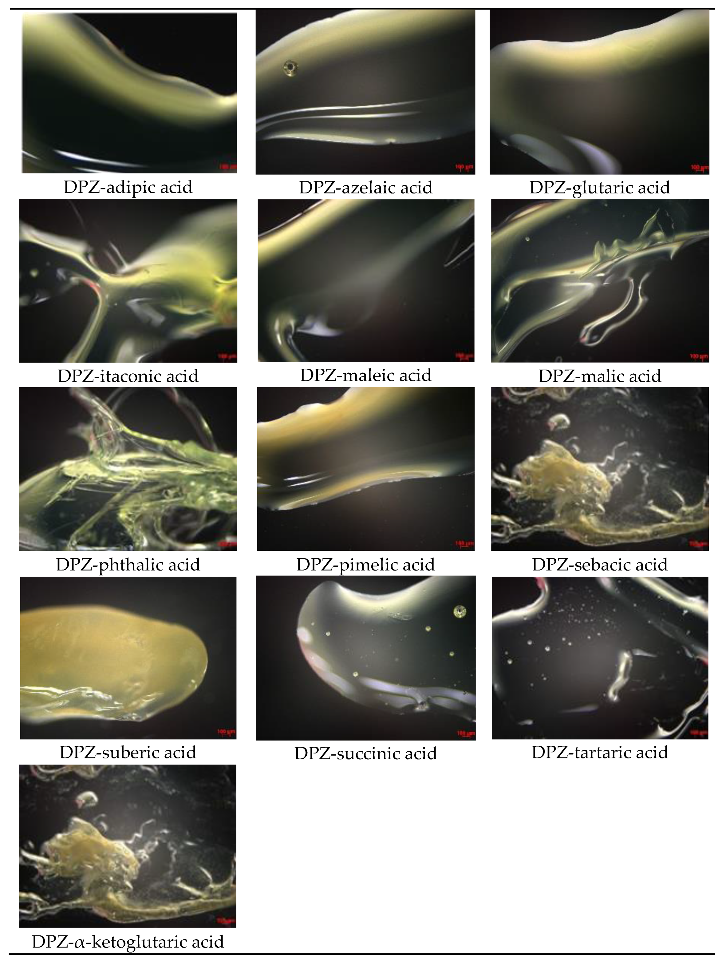 Pharmaceutics 14 00205 g004