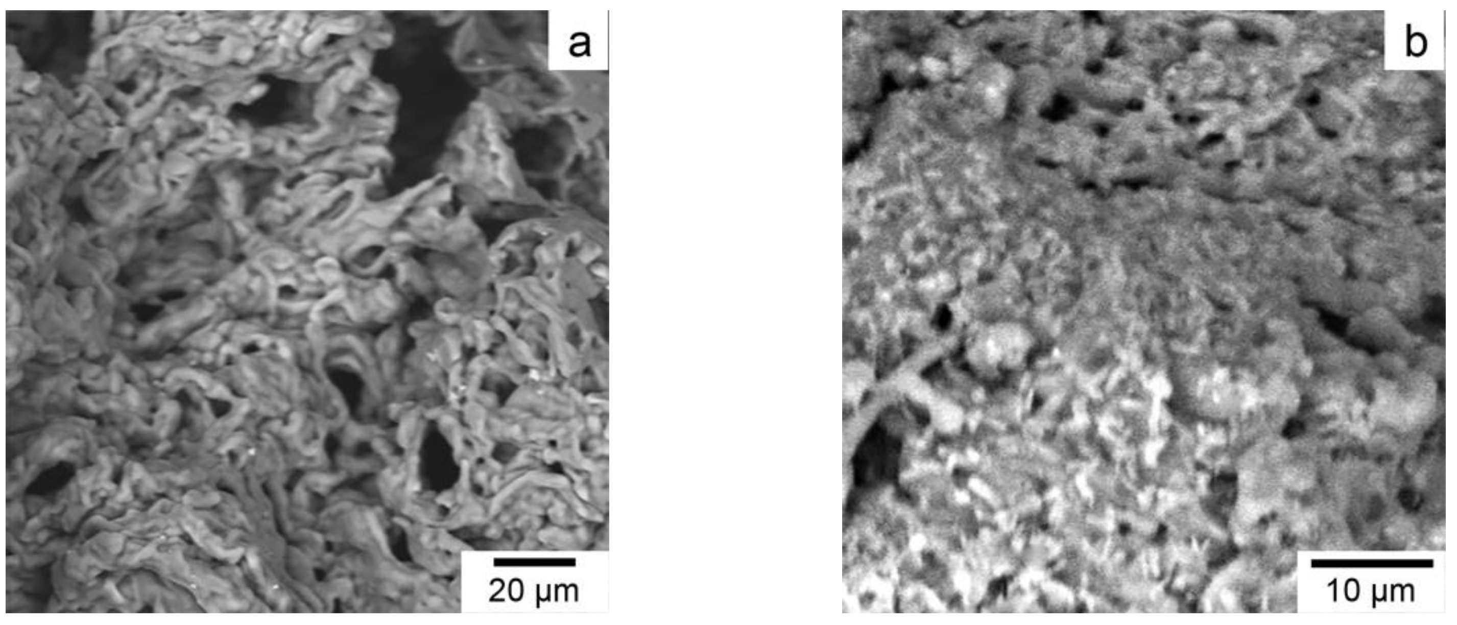 Pharmaceutics 14 00206 g006 550