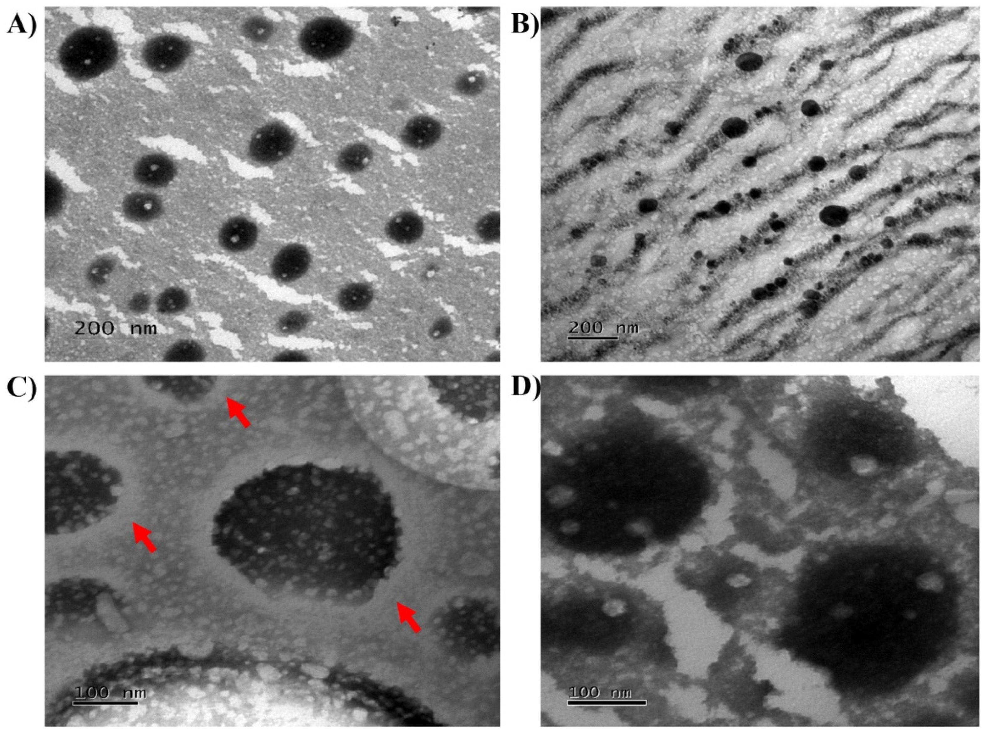 Pharmaceutics 14 00207 g004