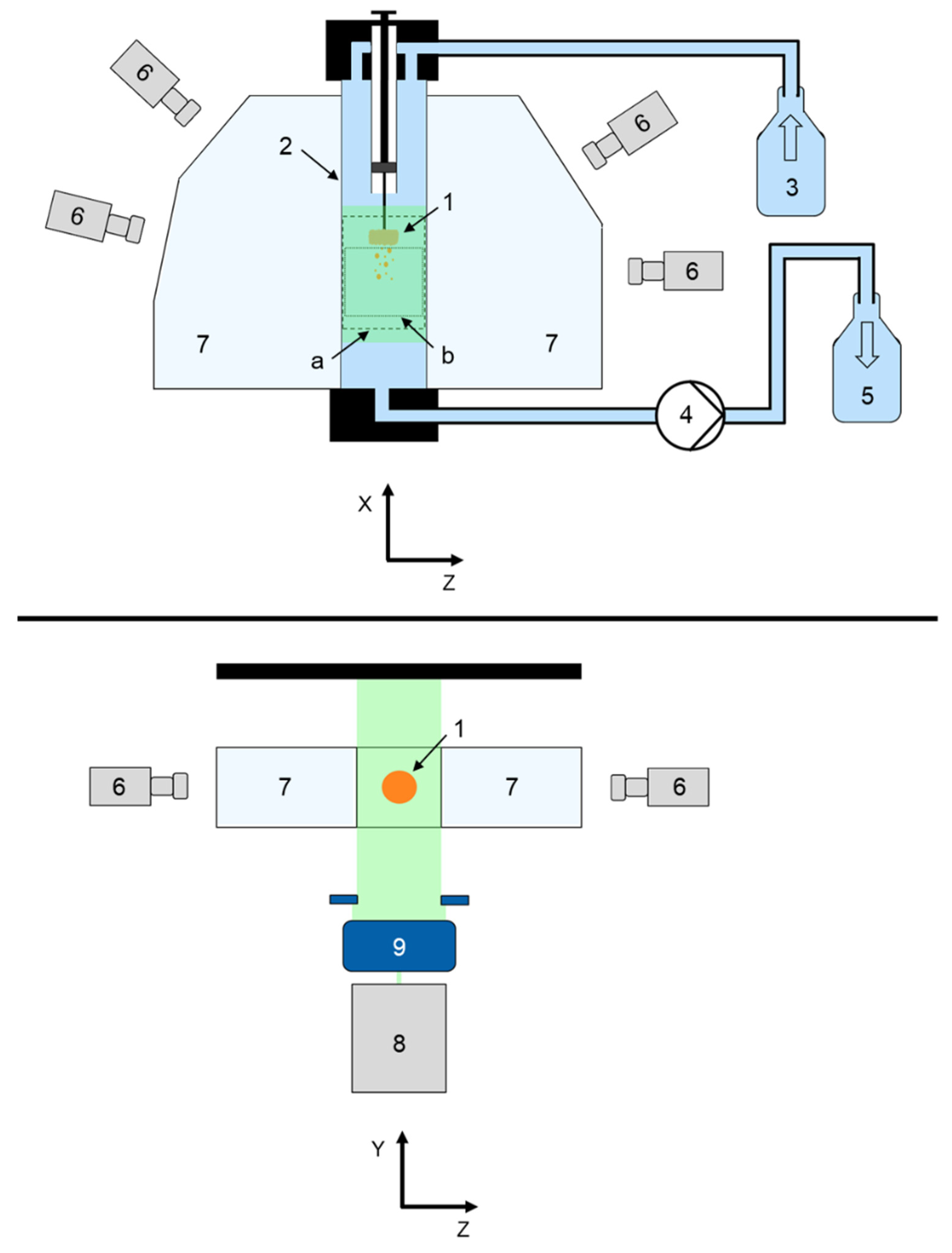 Pharmaceutics 14 00208 g001