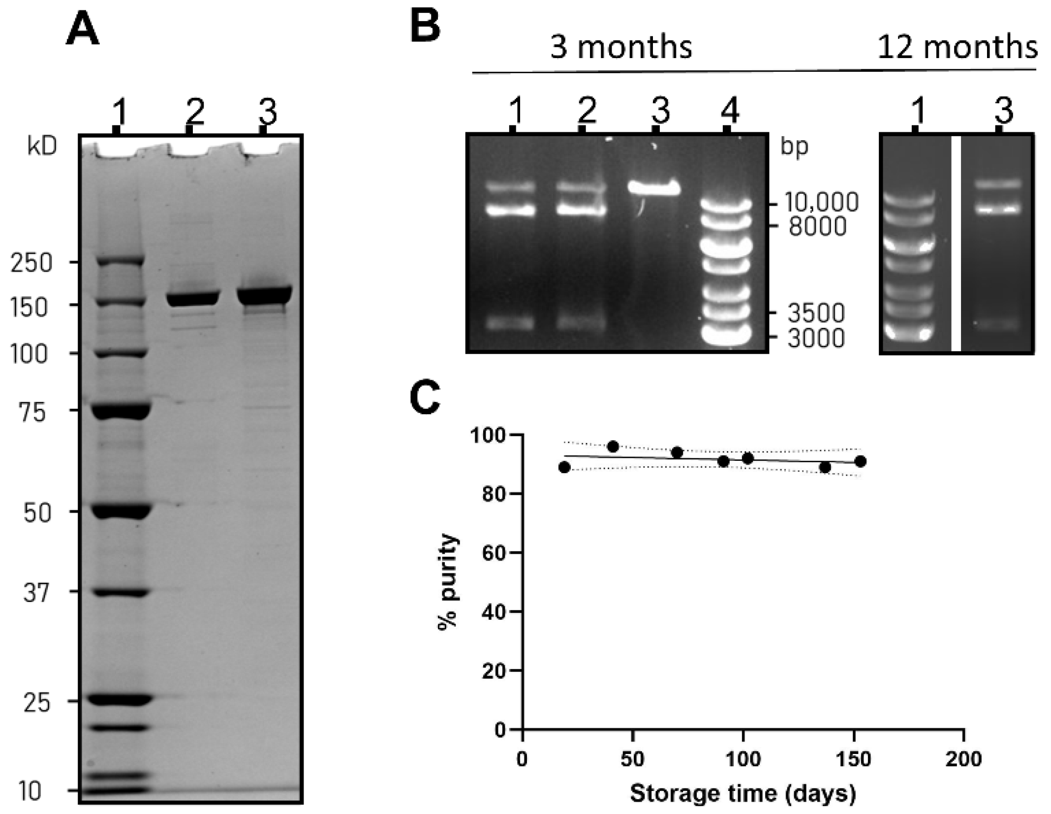Pharmaceutics 14 00213 g001 550