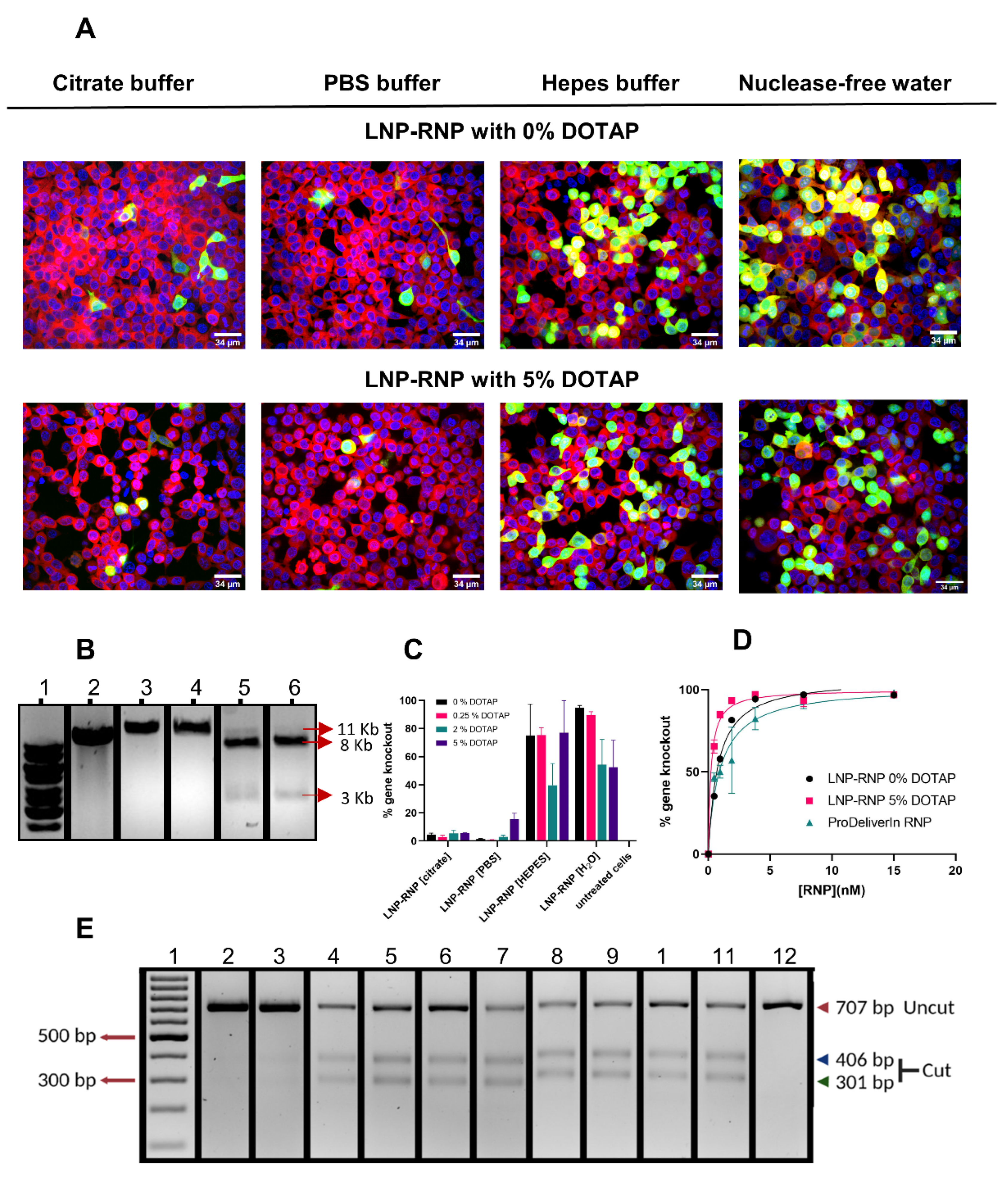 Pharmaceutics 14 00213 g003 550