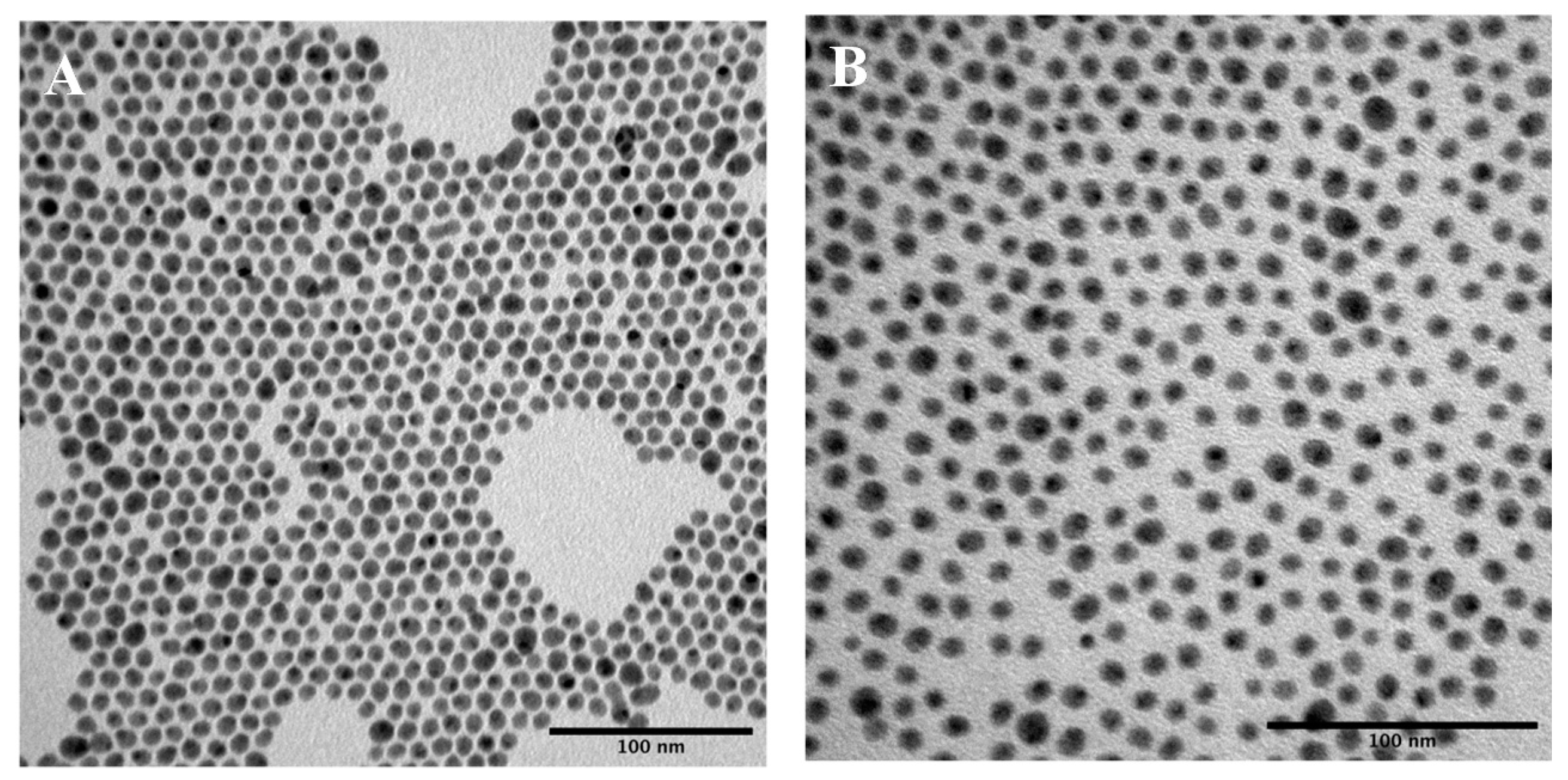 Pharmaceutics 14 00214 g001