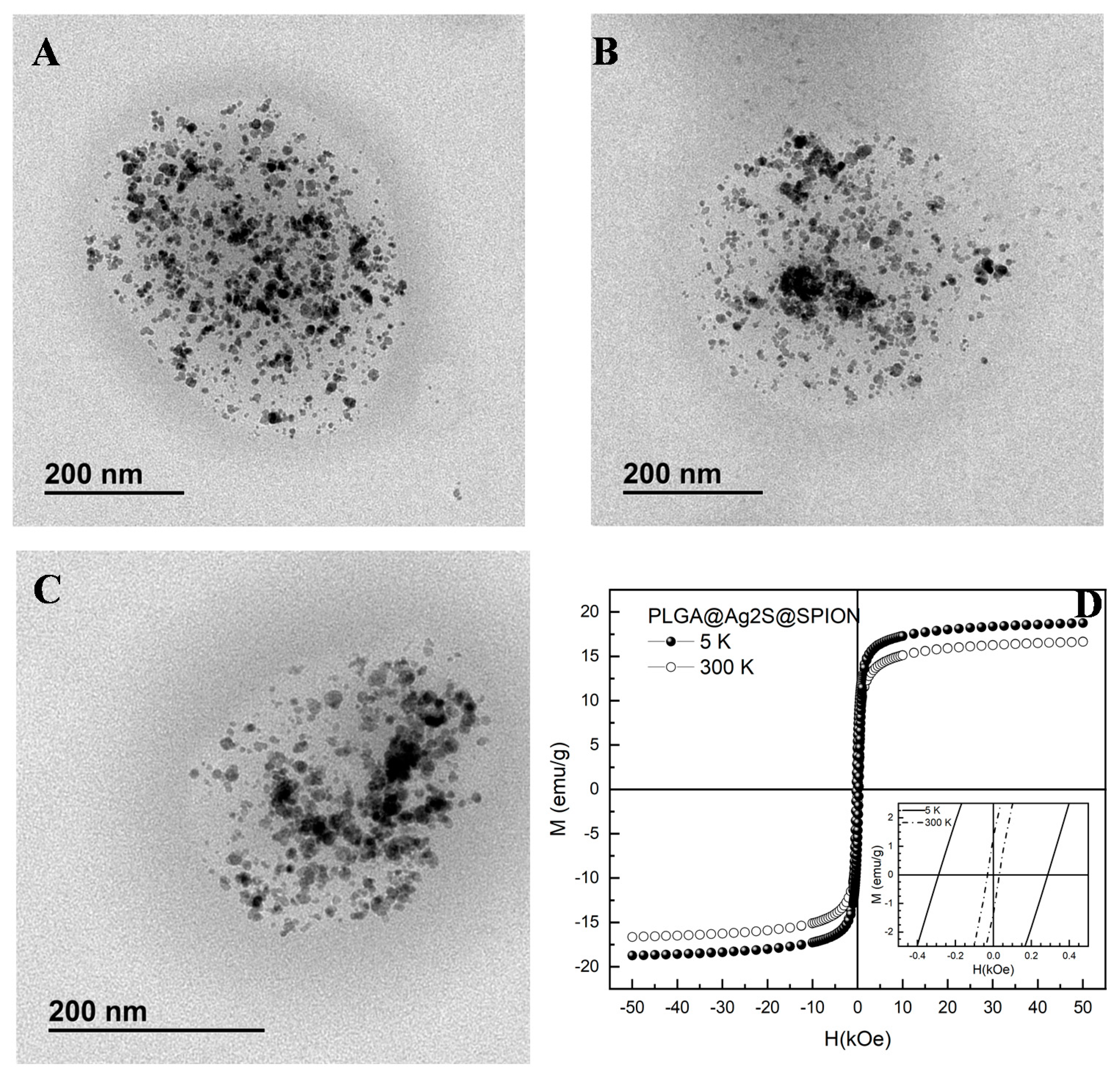Pharmaceutics 14 00214 g005