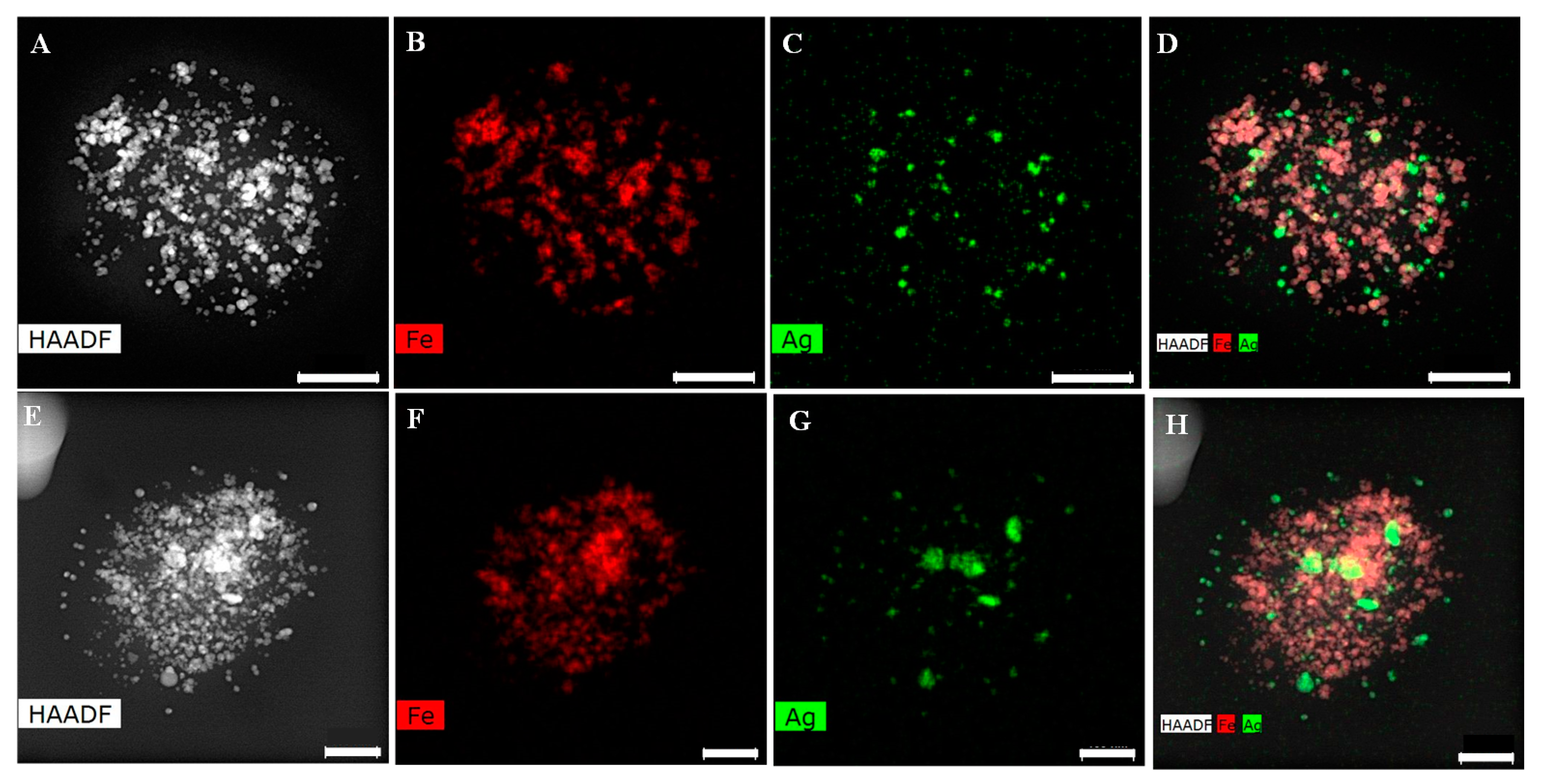 Pharmaceutics 14 00214 g006