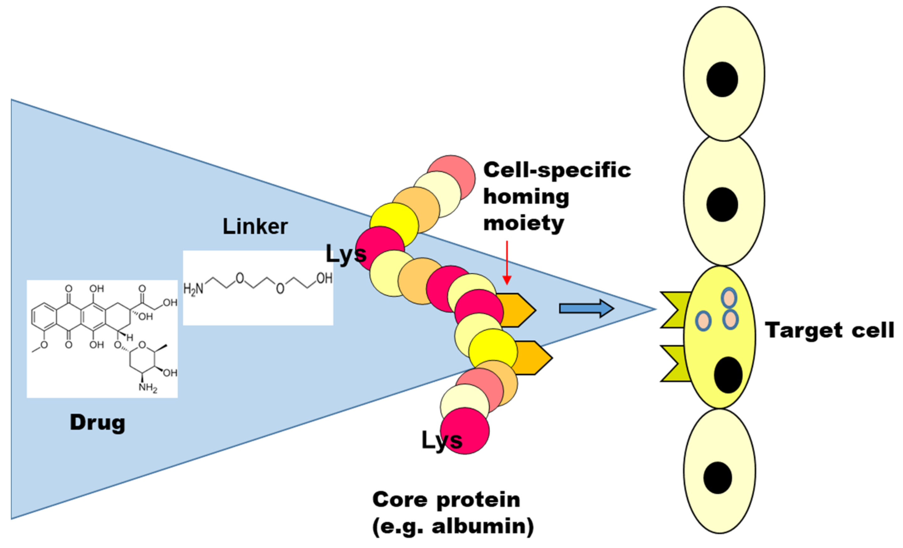 Pharmaceutics 14 00217 g001 550