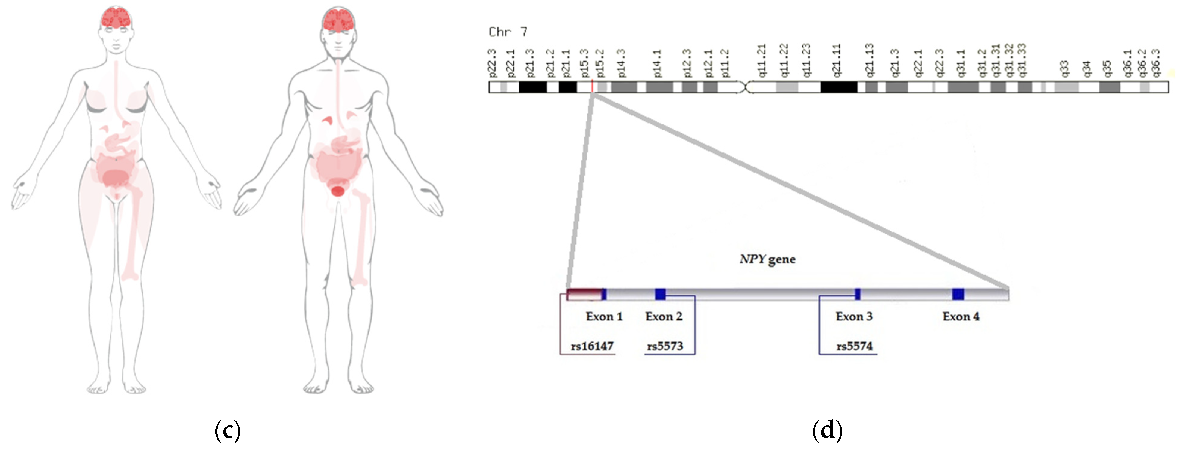 Pharmaceutics 14 00222 g001b 550