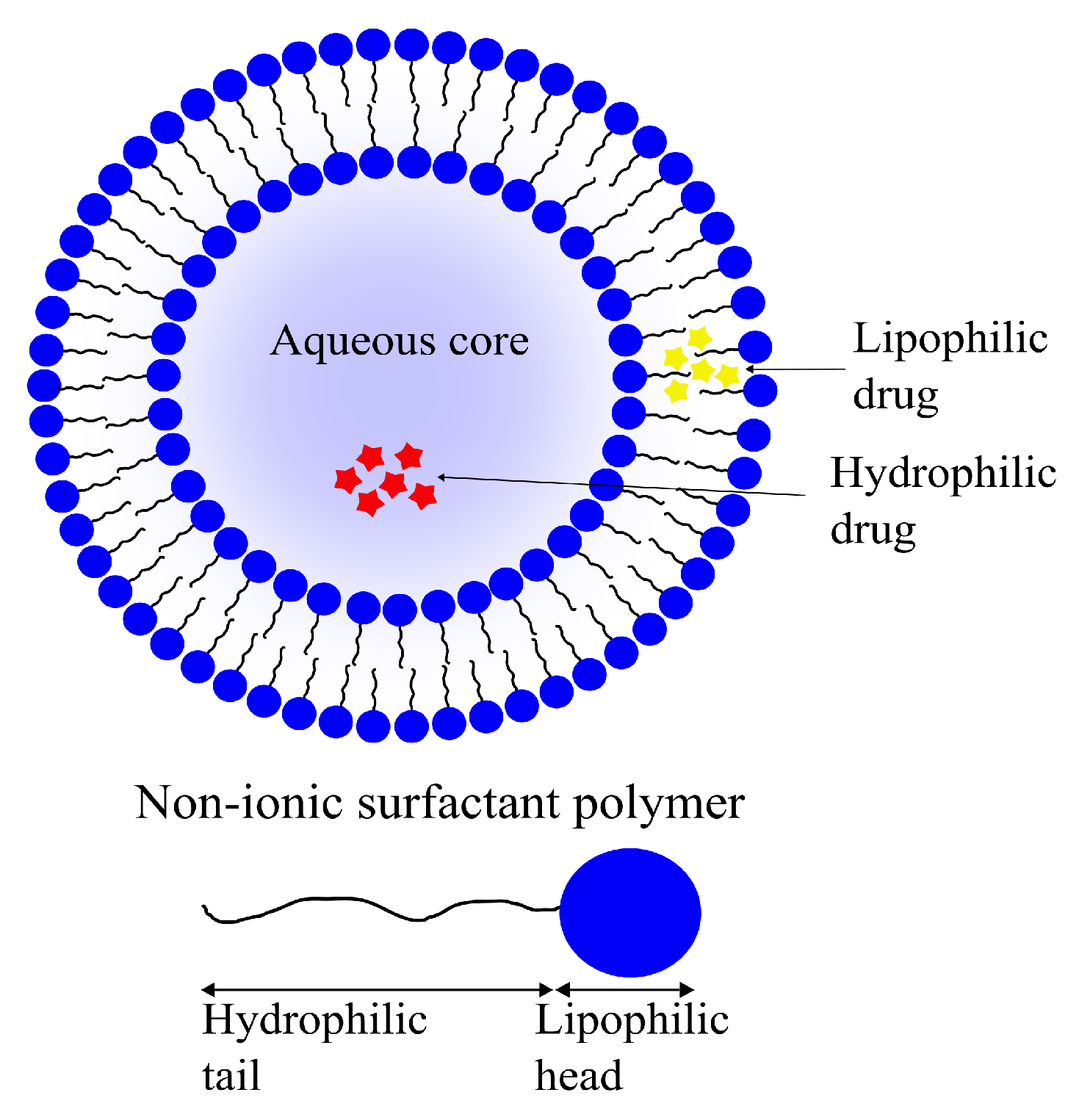 Pharmaceutics | Free Full-Text | An Overview of Nanotechnologies 