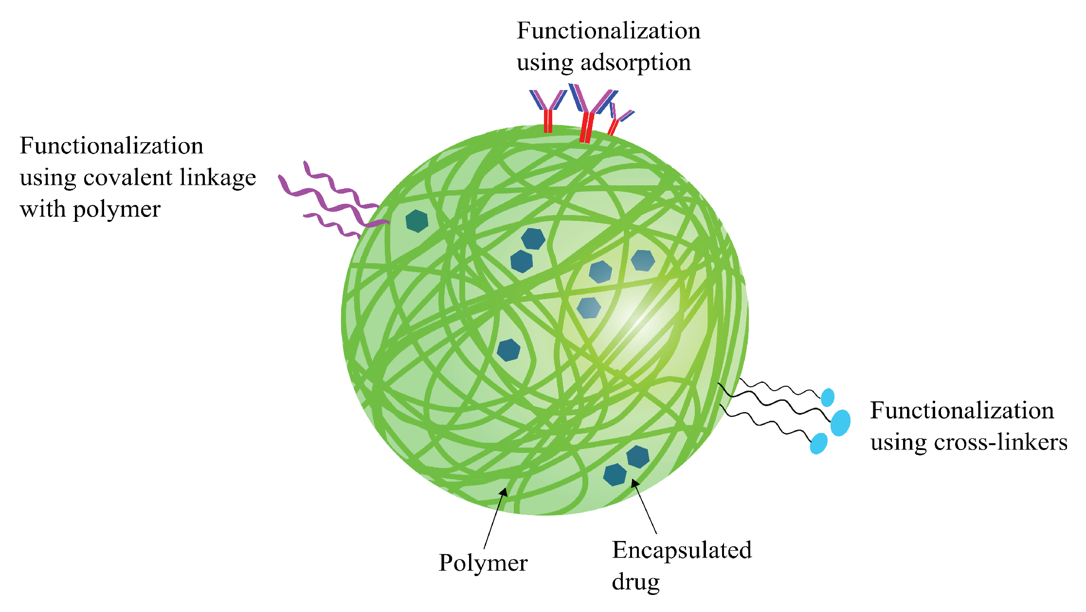 Pharmaceutics | Free Full-Text | An Overview of Nanotechnologies 