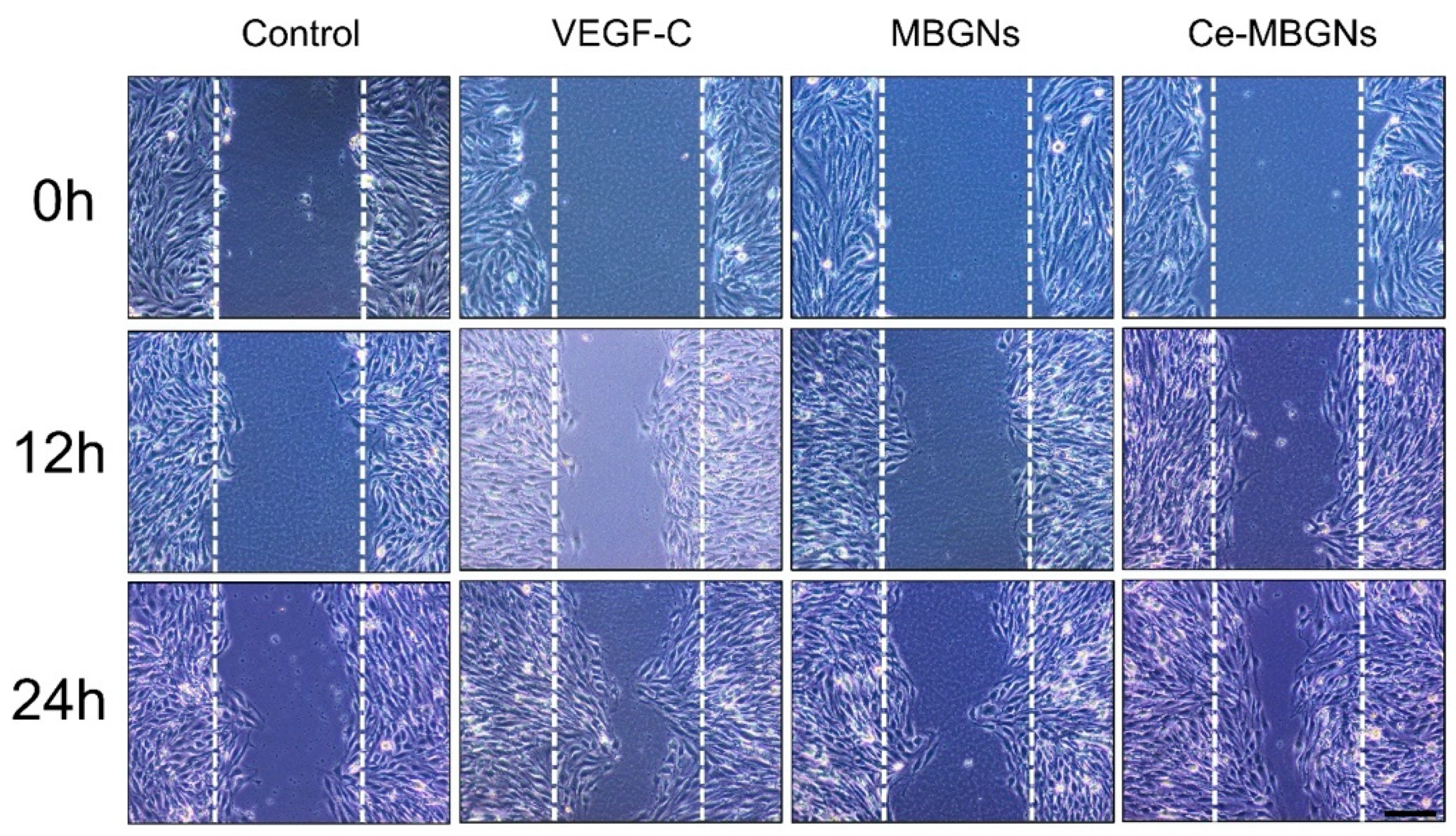 Pharmaceutics 14 00225 g004 550