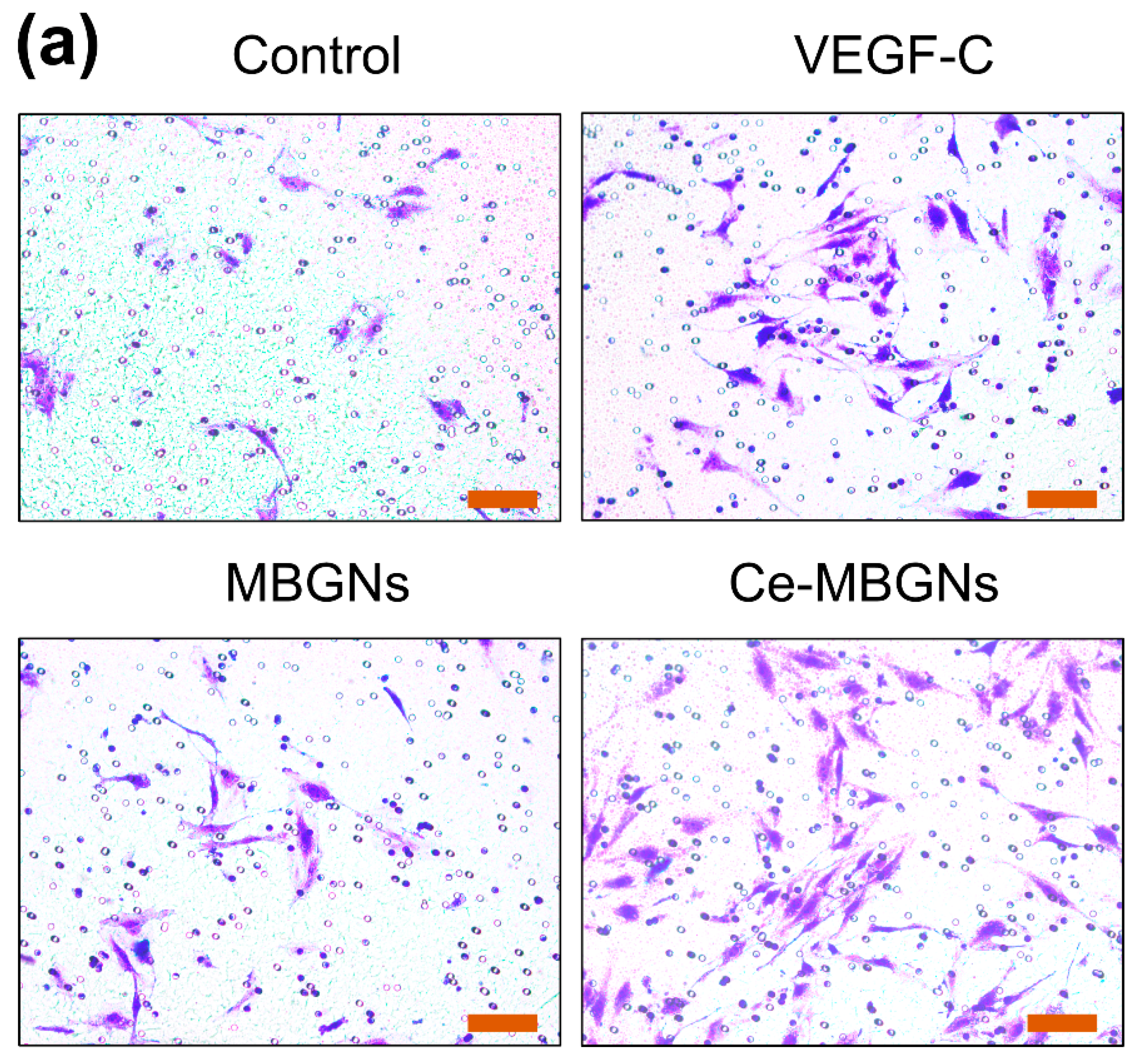 Pharmaceutics 14 00225 g005a 550