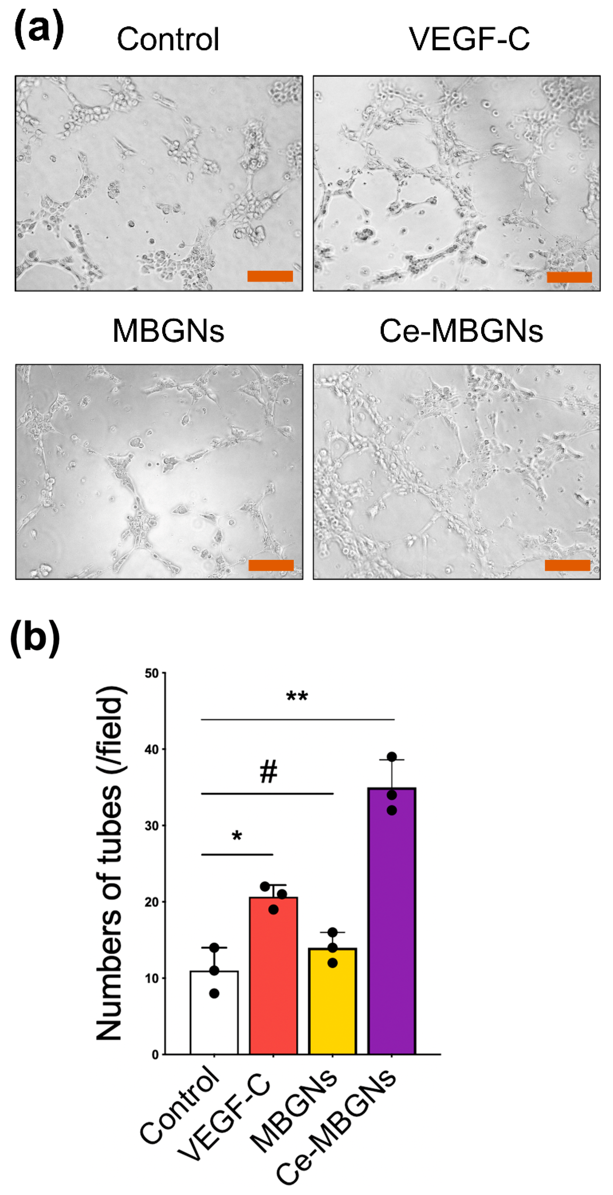 Pharmaceutics 14 00225 g006 550
