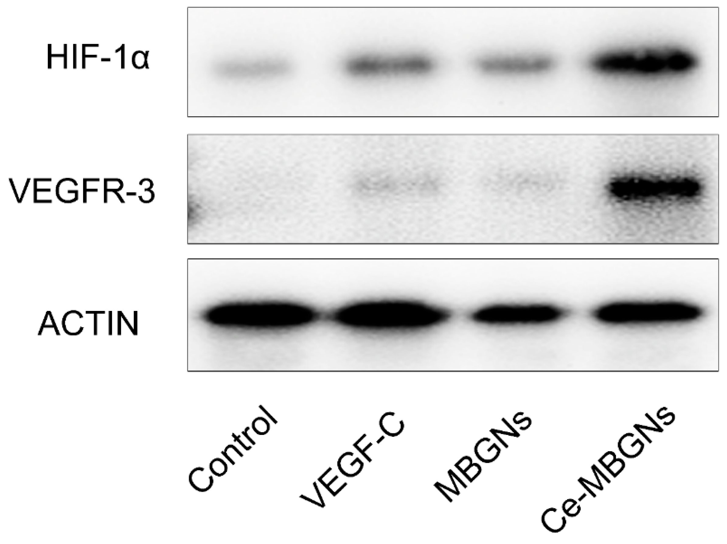 Pharmaceutics 14 00225 g007 550