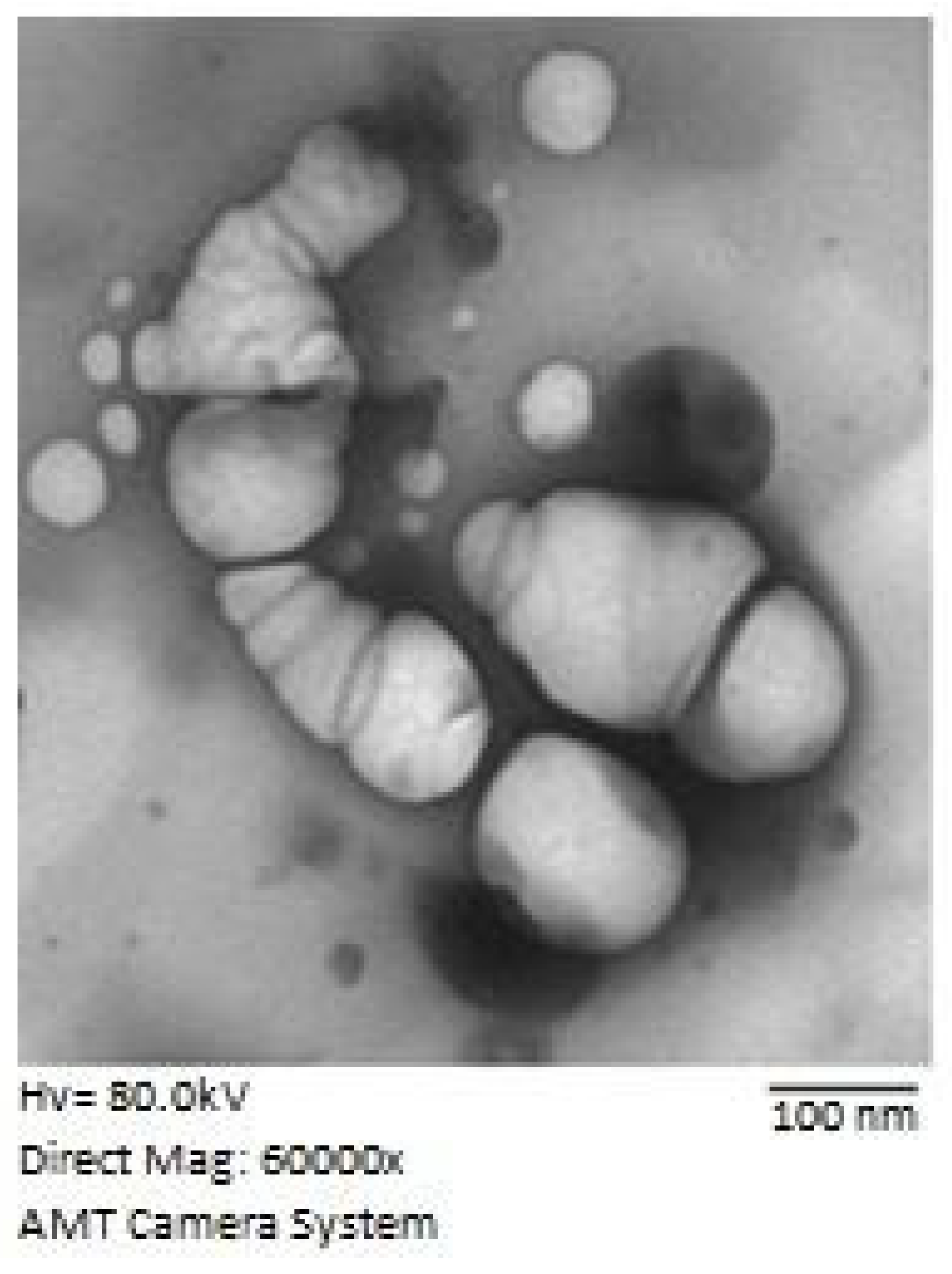 Pharmaceutics 14 00227 g003