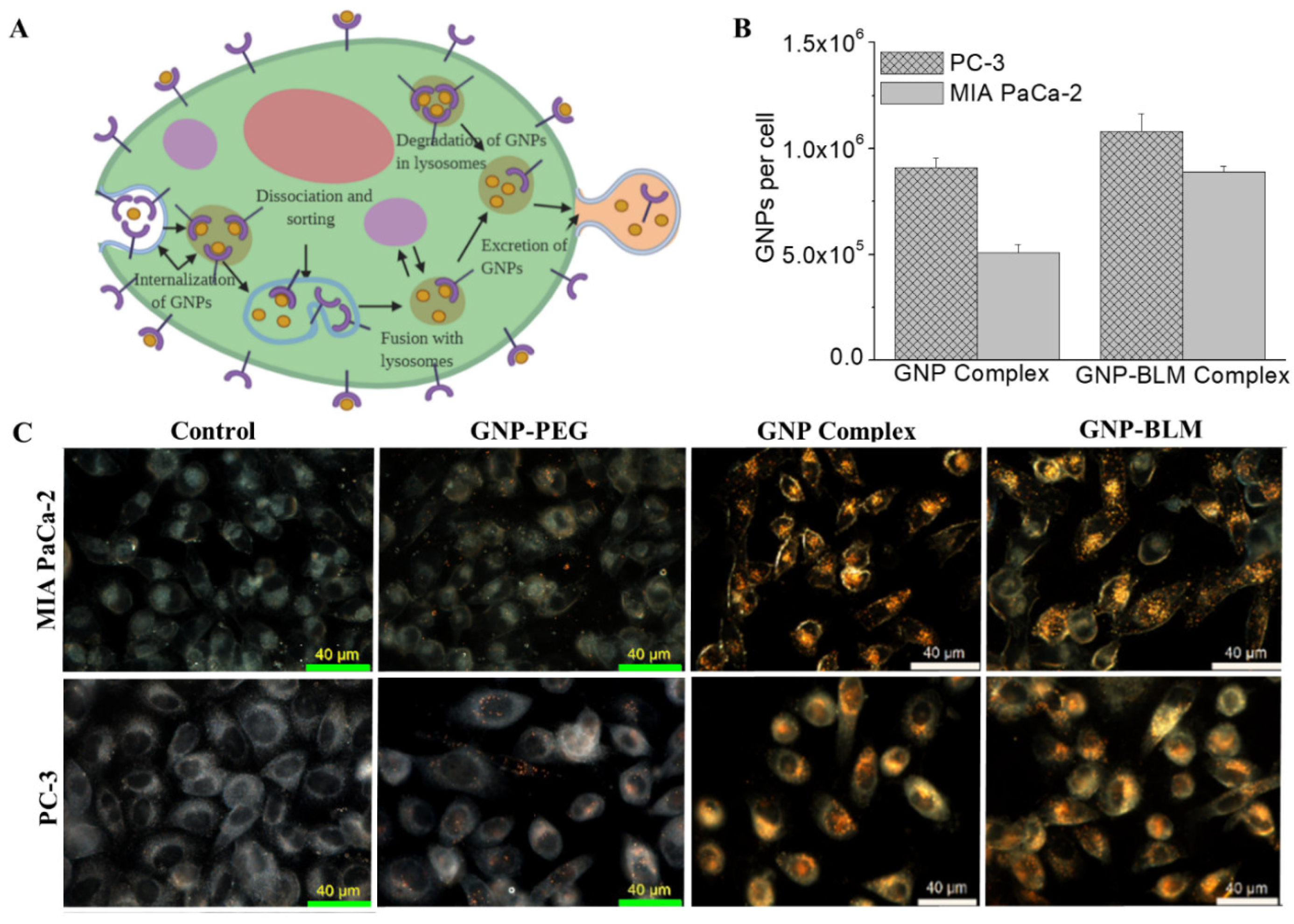 Pharmaceutics 14 00233 g003