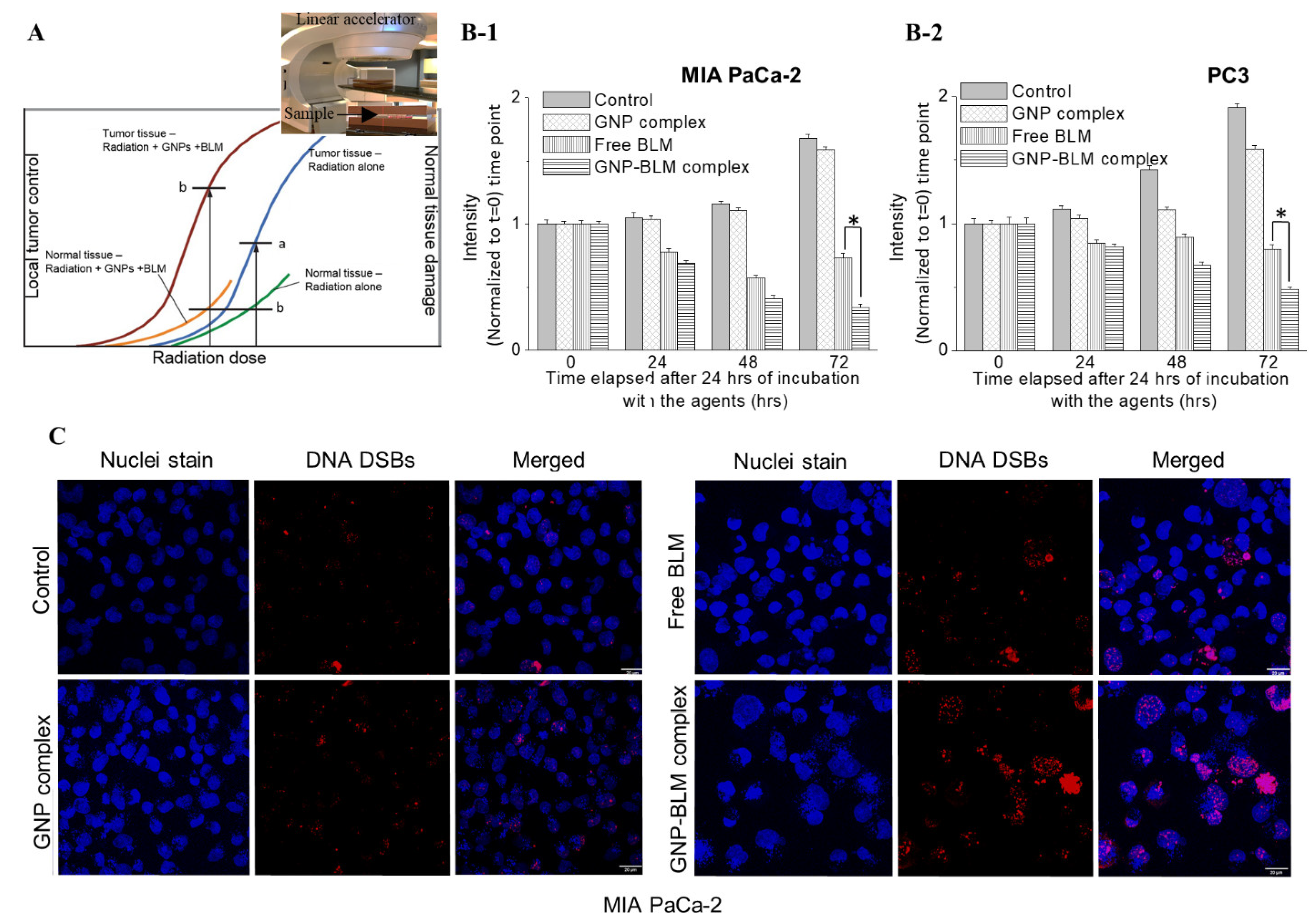 Pharmaceutics 14 00233 g006