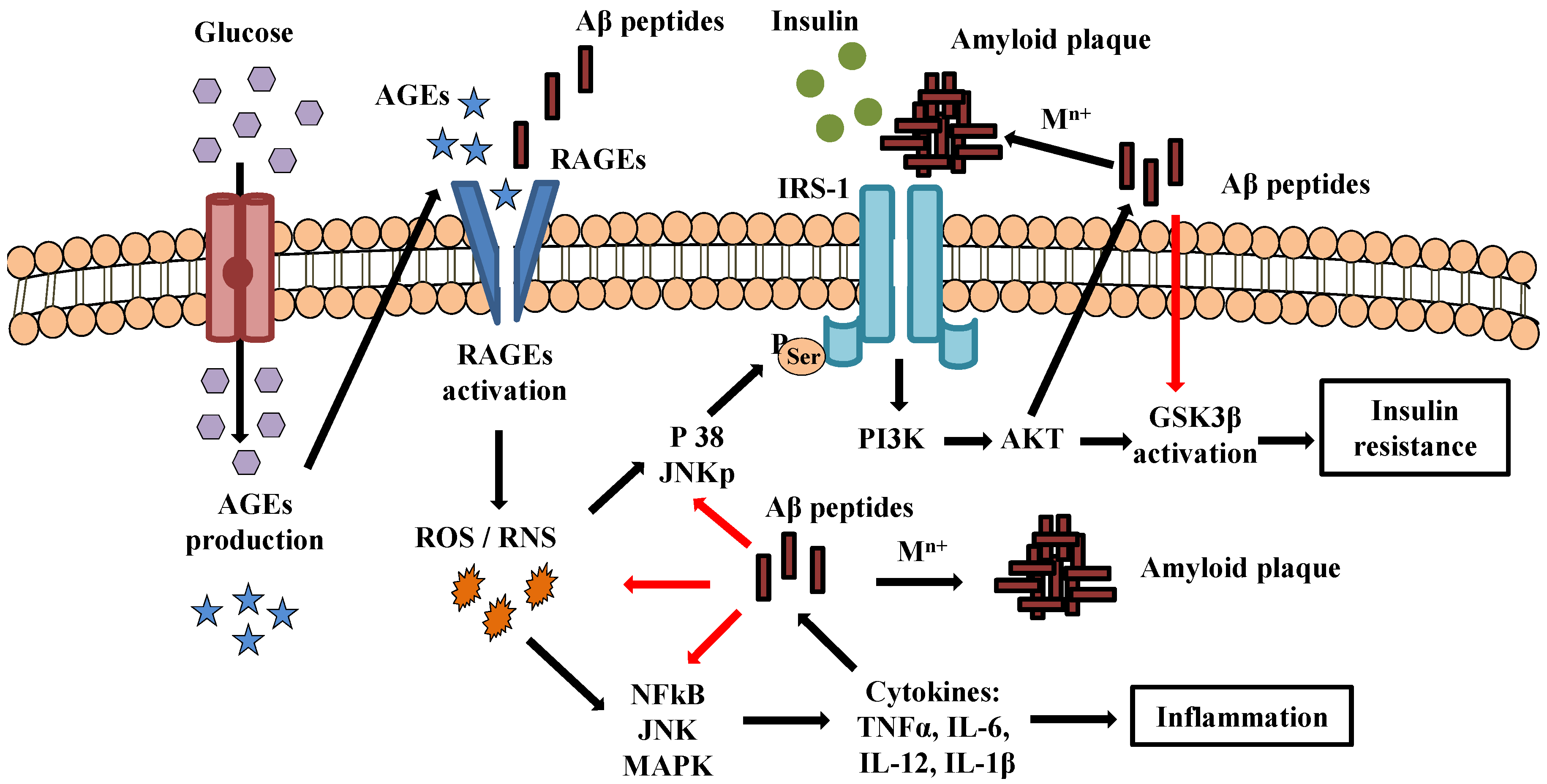 Pharmaceutics 14 00235 g002