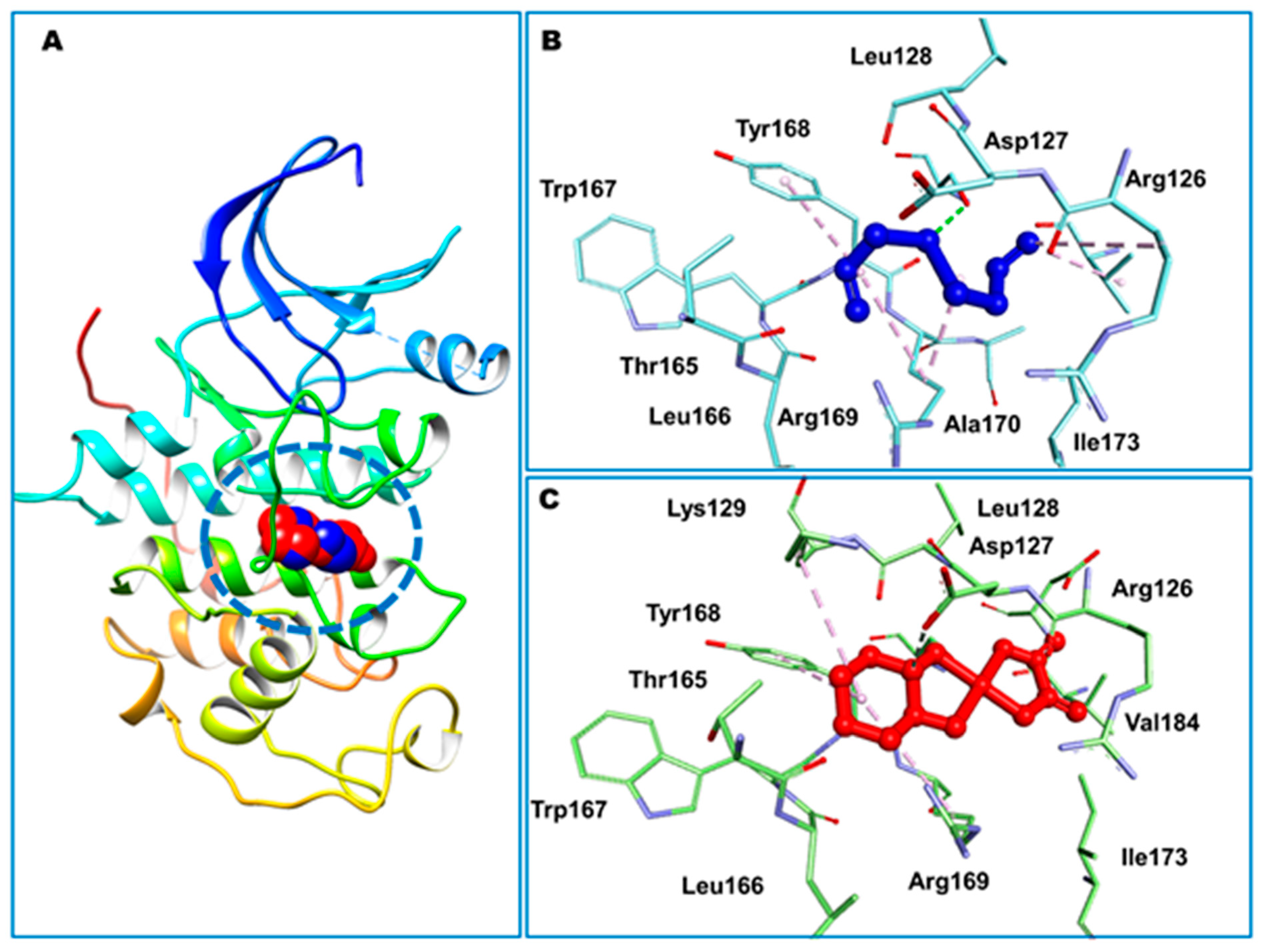 Pharmaceutics 14 00236 g002