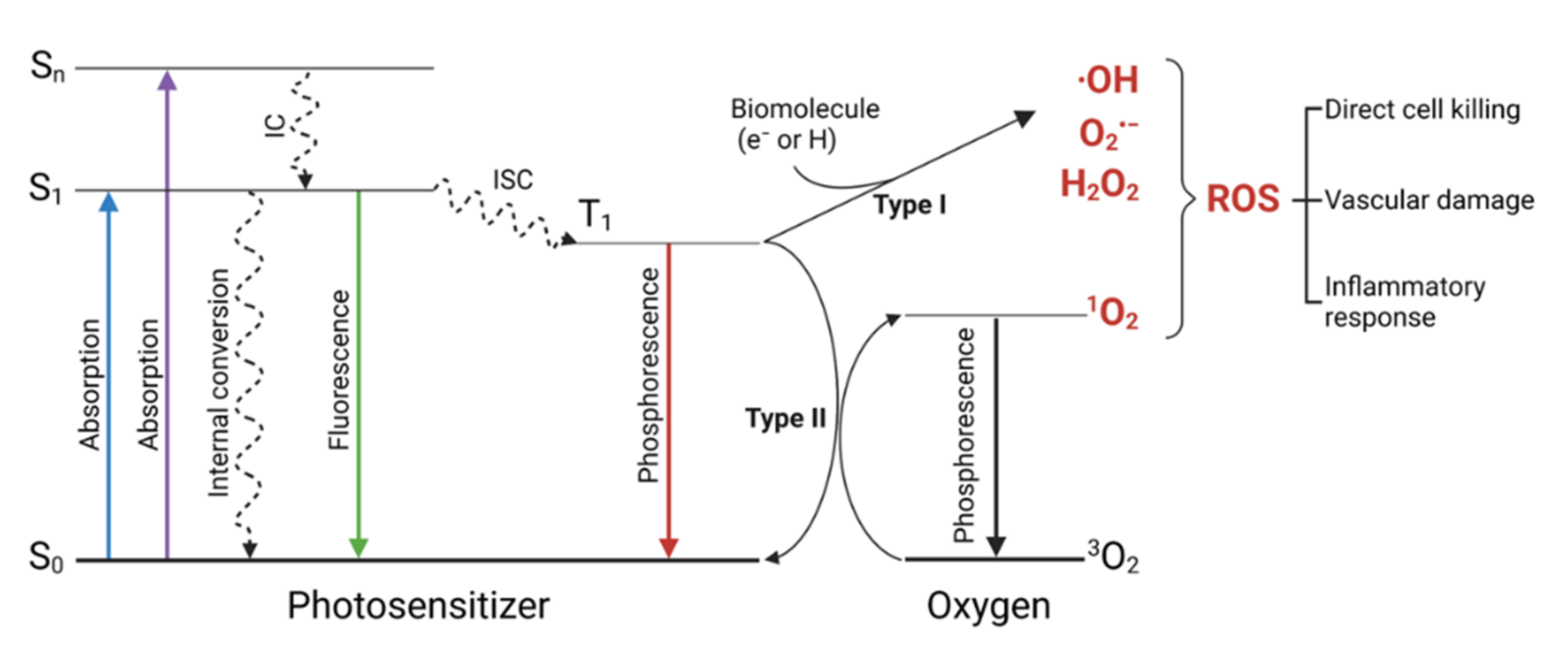 Pharmaceutics 14 00241 g001 Pharmaceutics 14 00241 g001