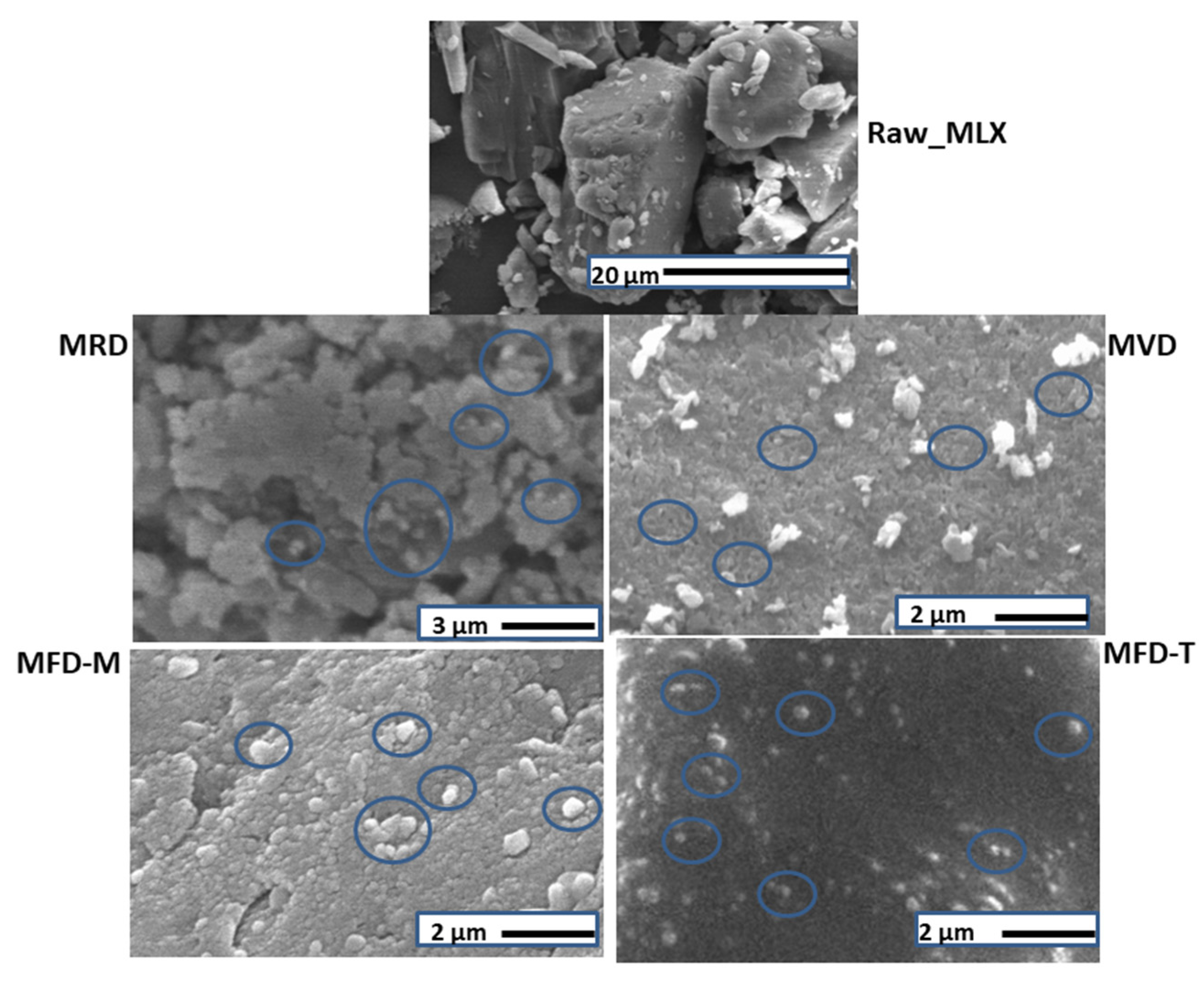 Pharmaceutics 14 00245 g001 Pharmaceutics 14 00245 g001
