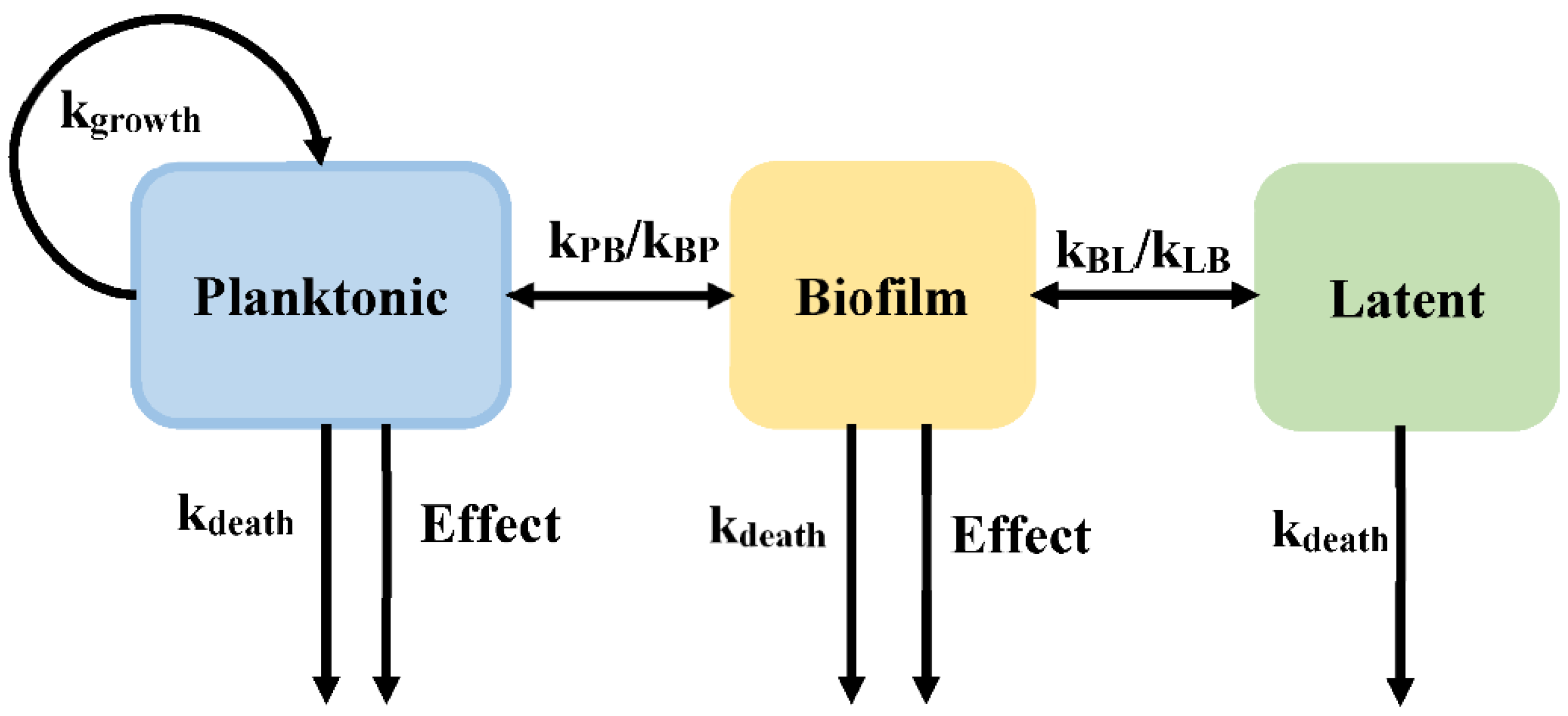 Pharmaceutics 14 00246 g005