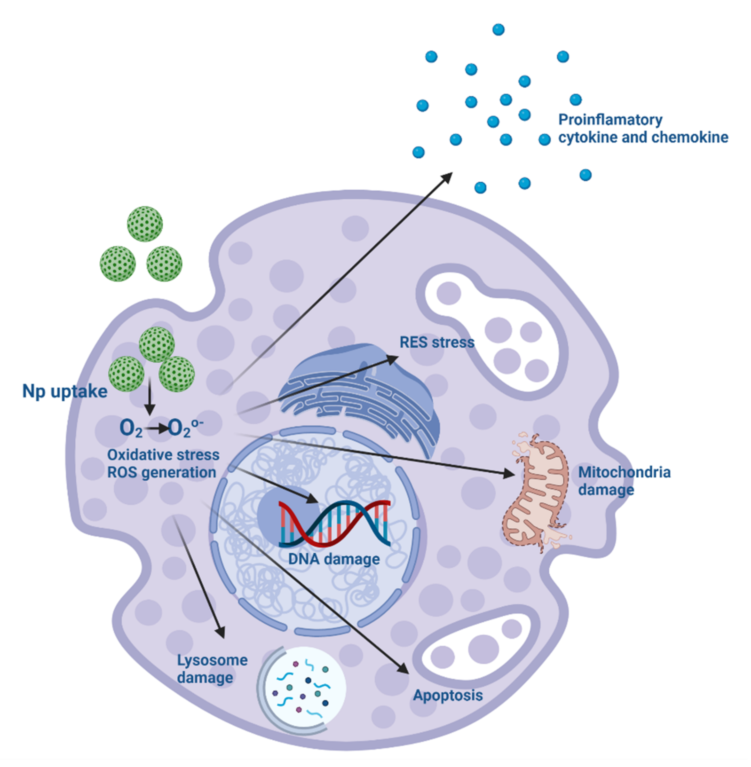 Pharmaceutics 14 00247 g004