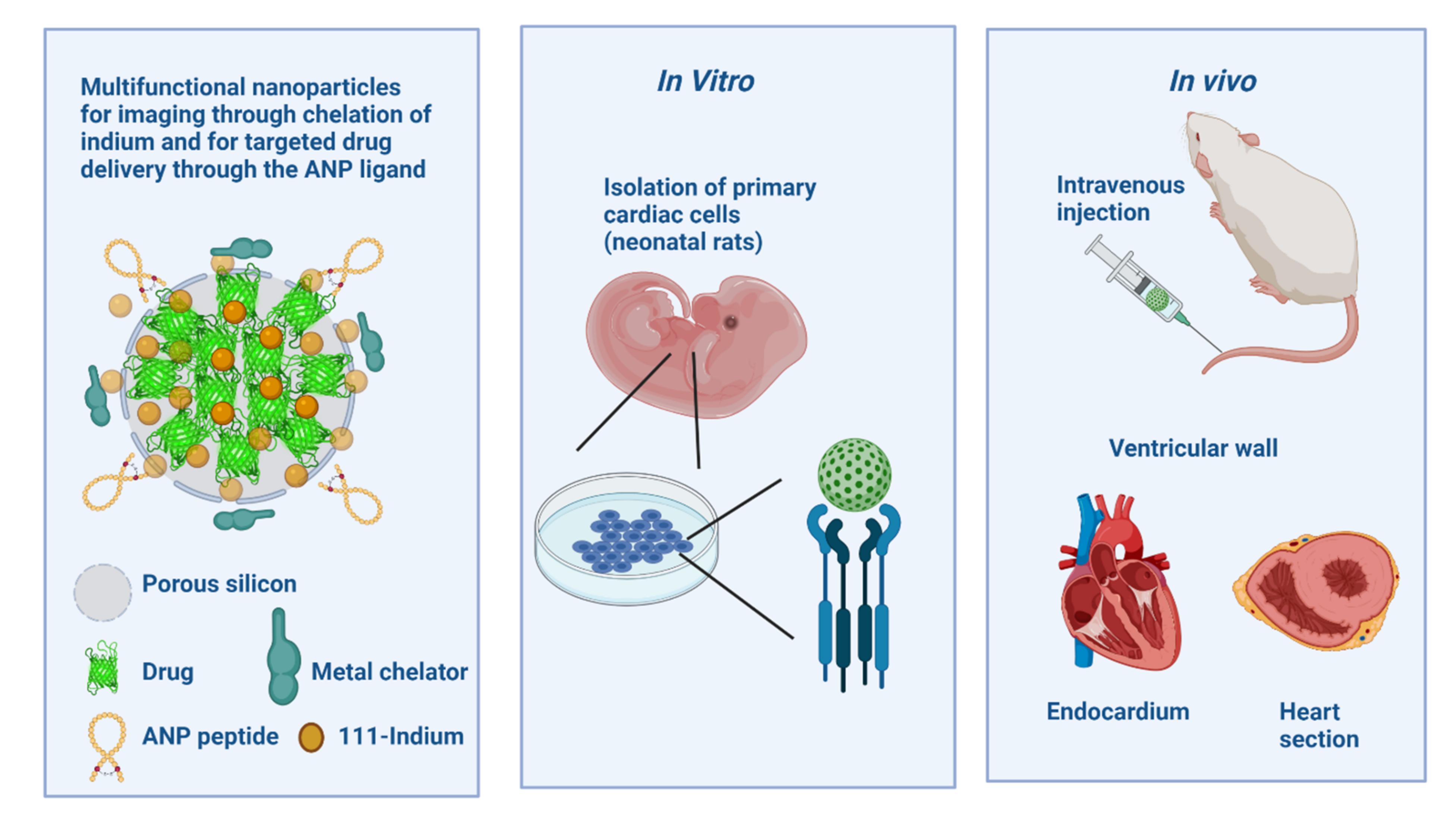 Pharmaceutics 14 00247 g007