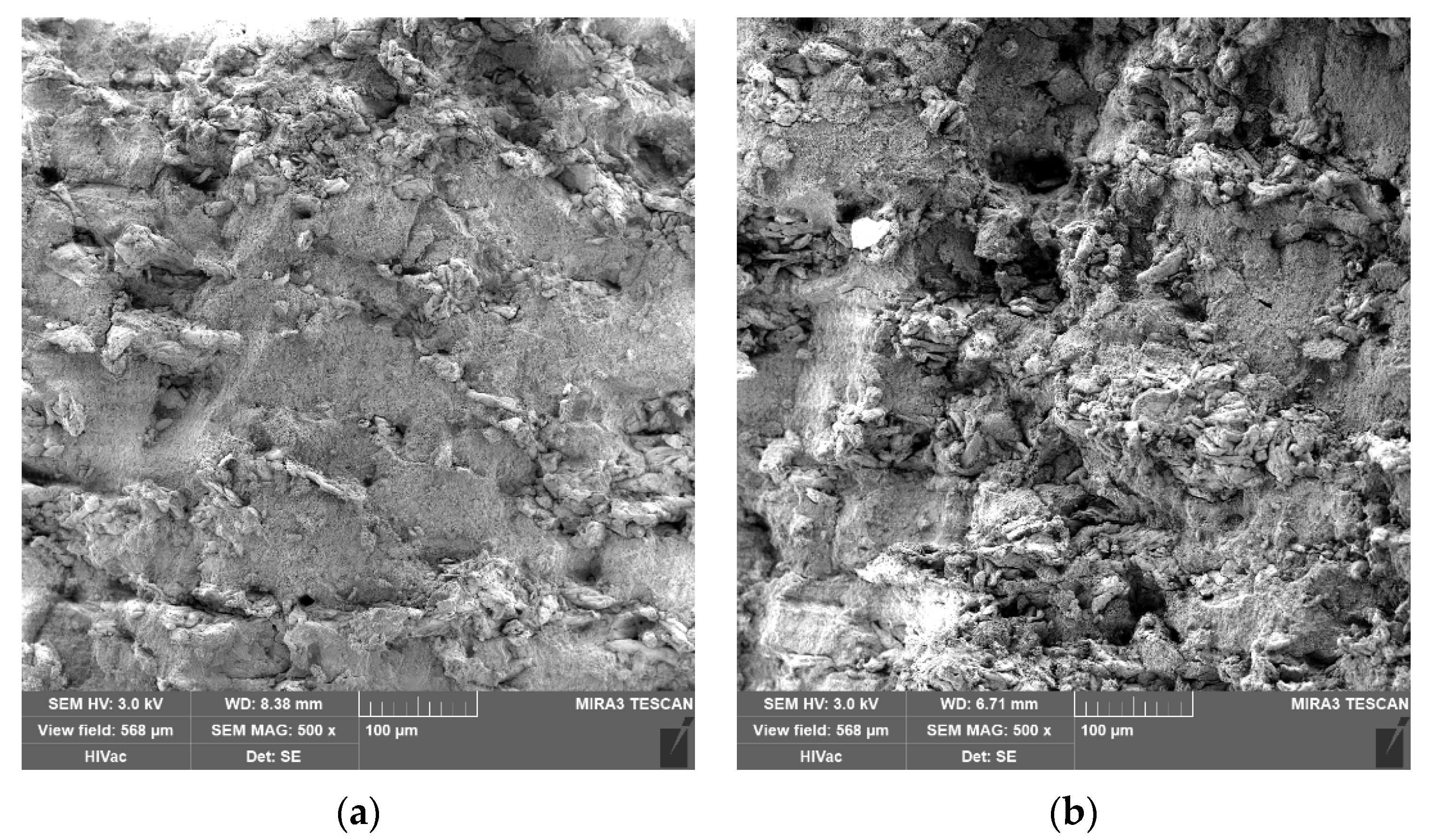 Pharmaceutics 14 00248 g003 Pharmaceutics 14 00248 g003