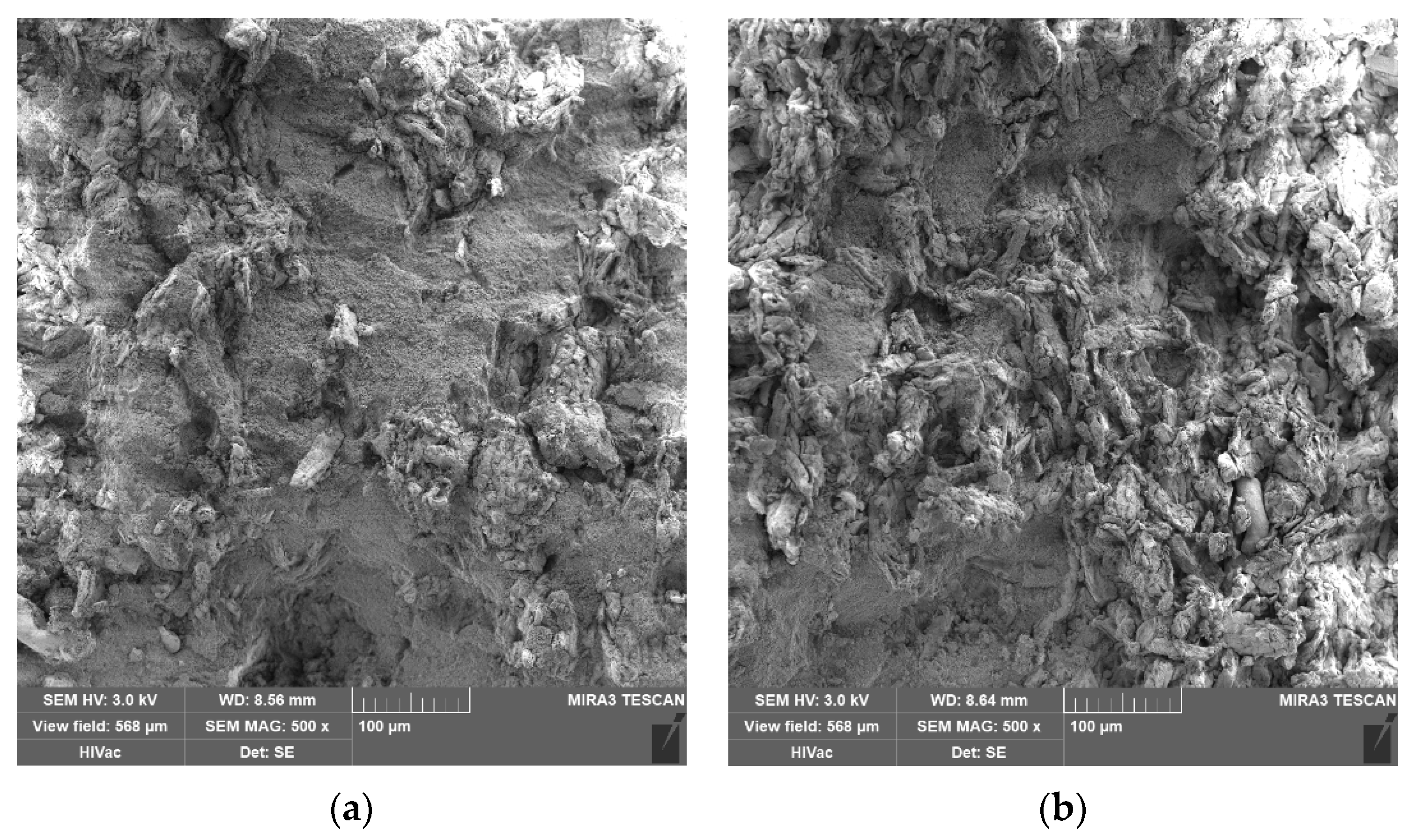 Pharmaceutics 14 00248 g004 Pharmaceutics 14 00248 g004