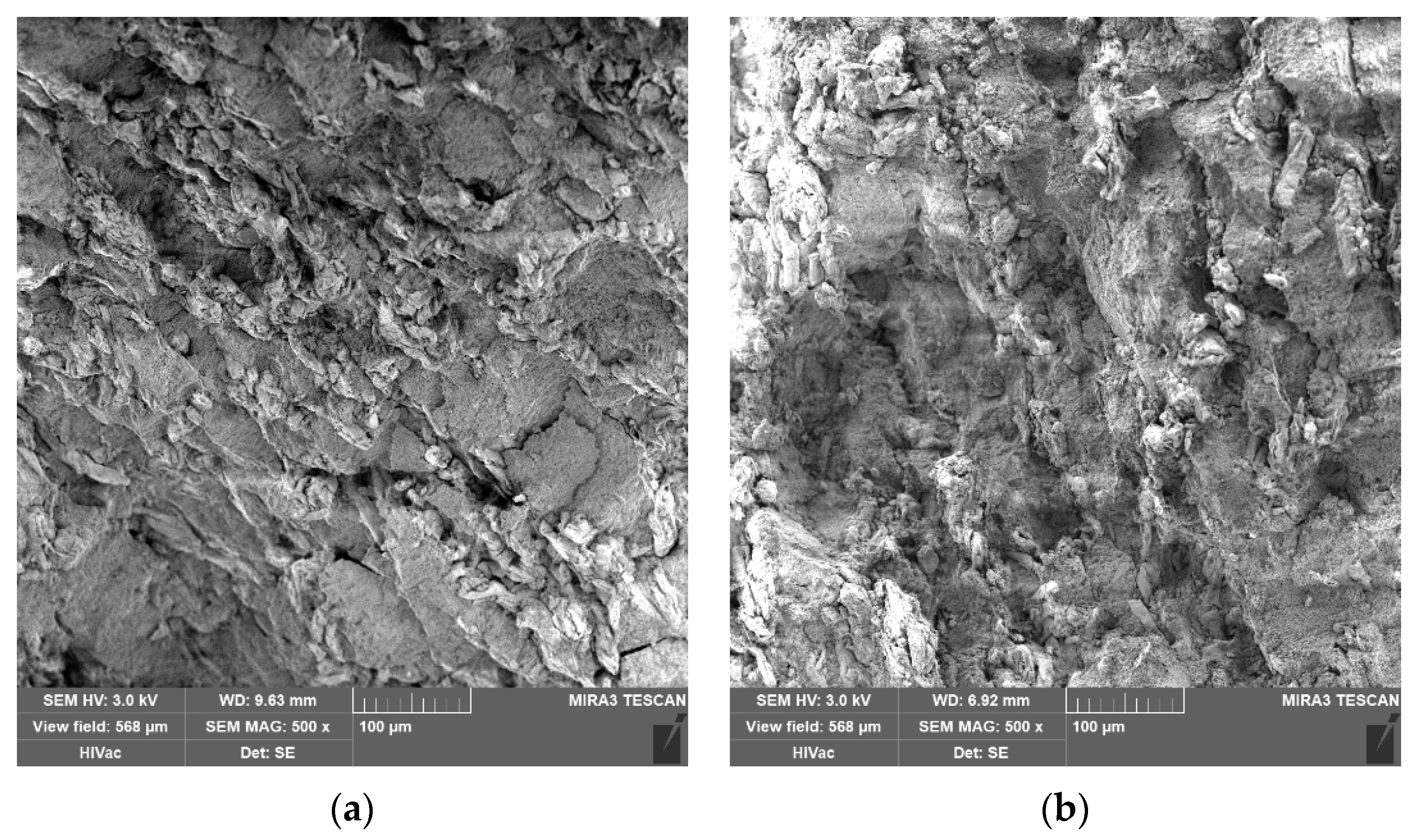 Pharmaceutics 14 00248 g005 Pharmaceutics 14 00248 g005