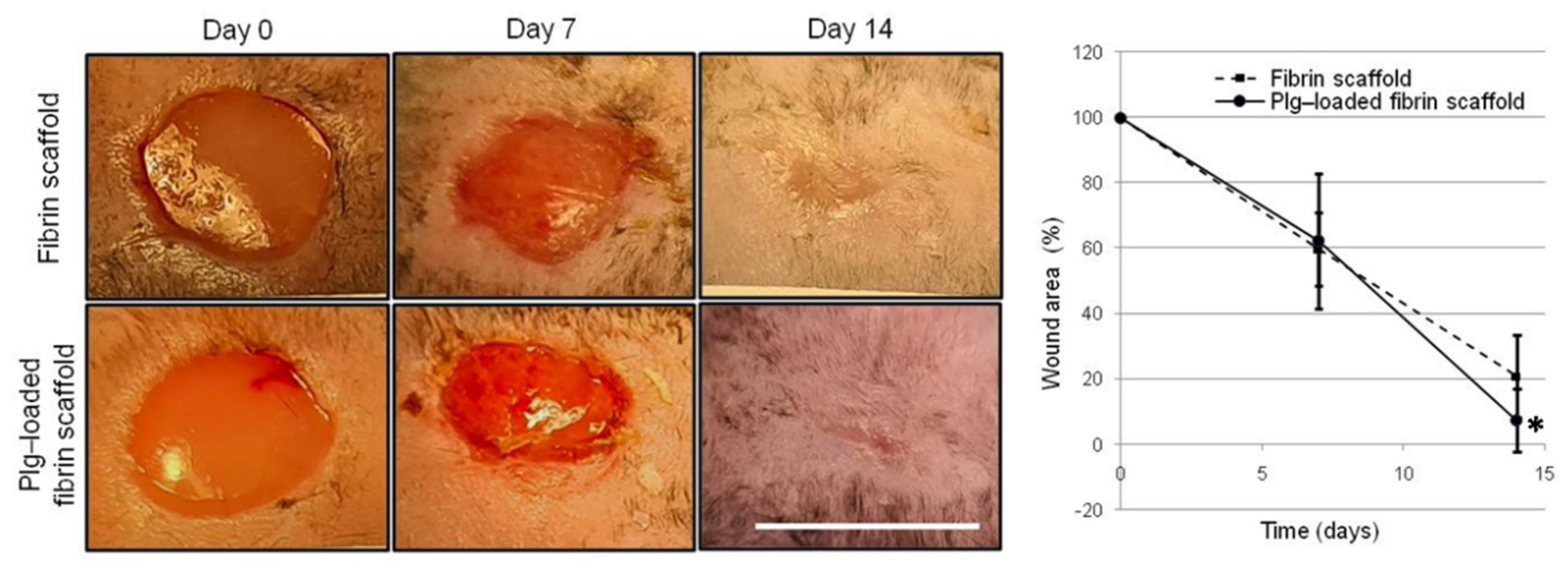 Pharmaceutics 14 00251 g006 550