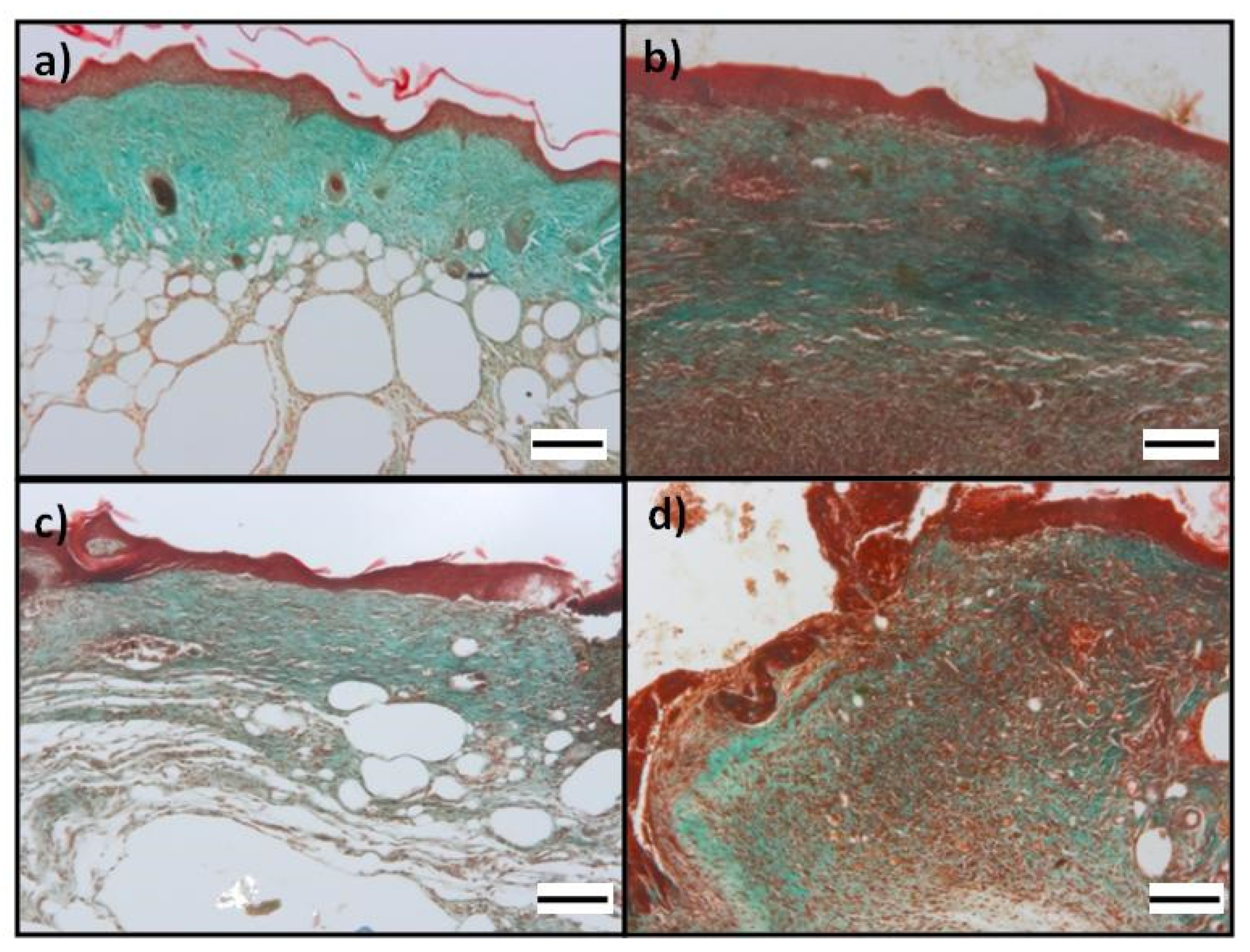 Pharmaceutics 14 00251 g008 550