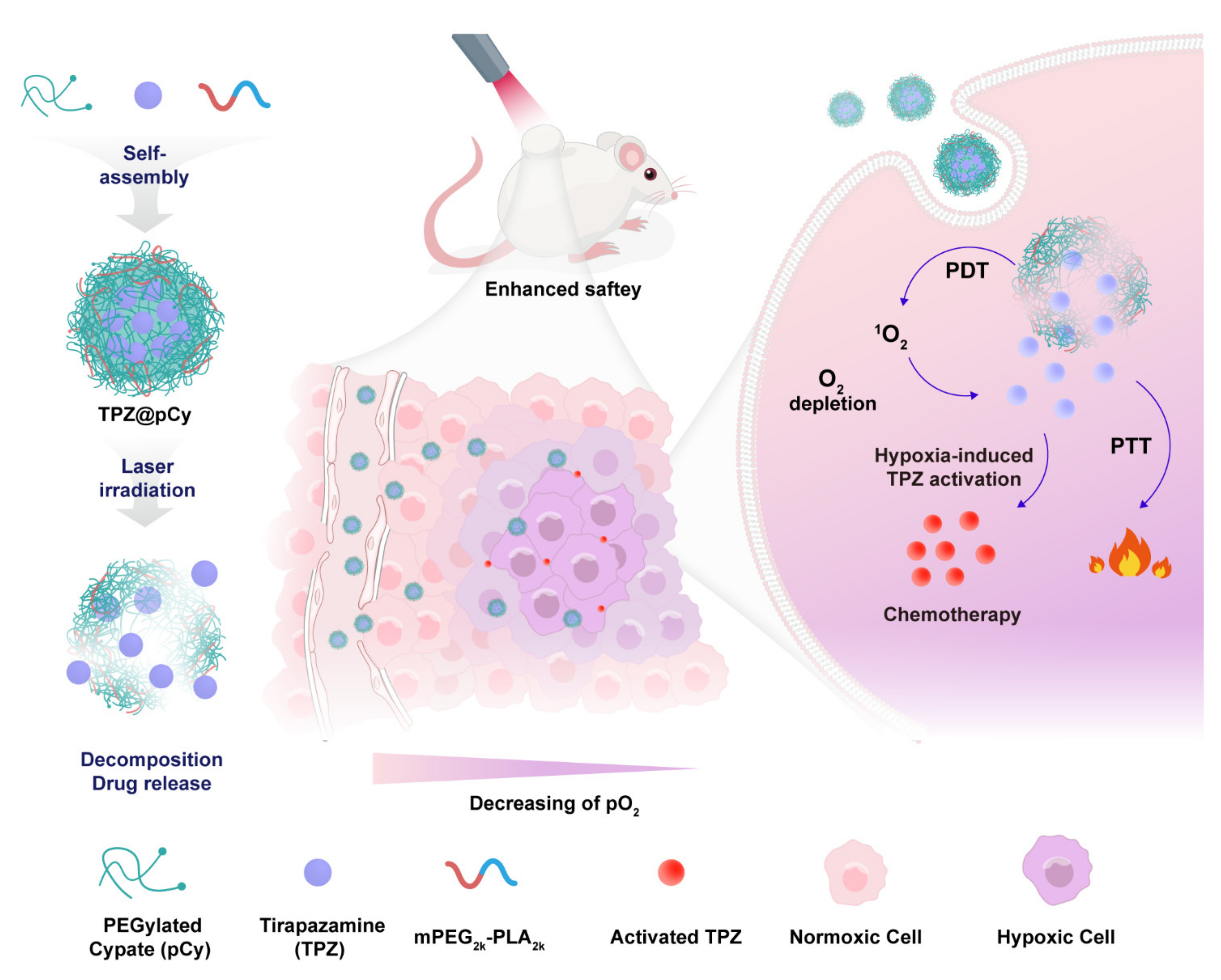 Pharmaceutics 14 00253 g001 550