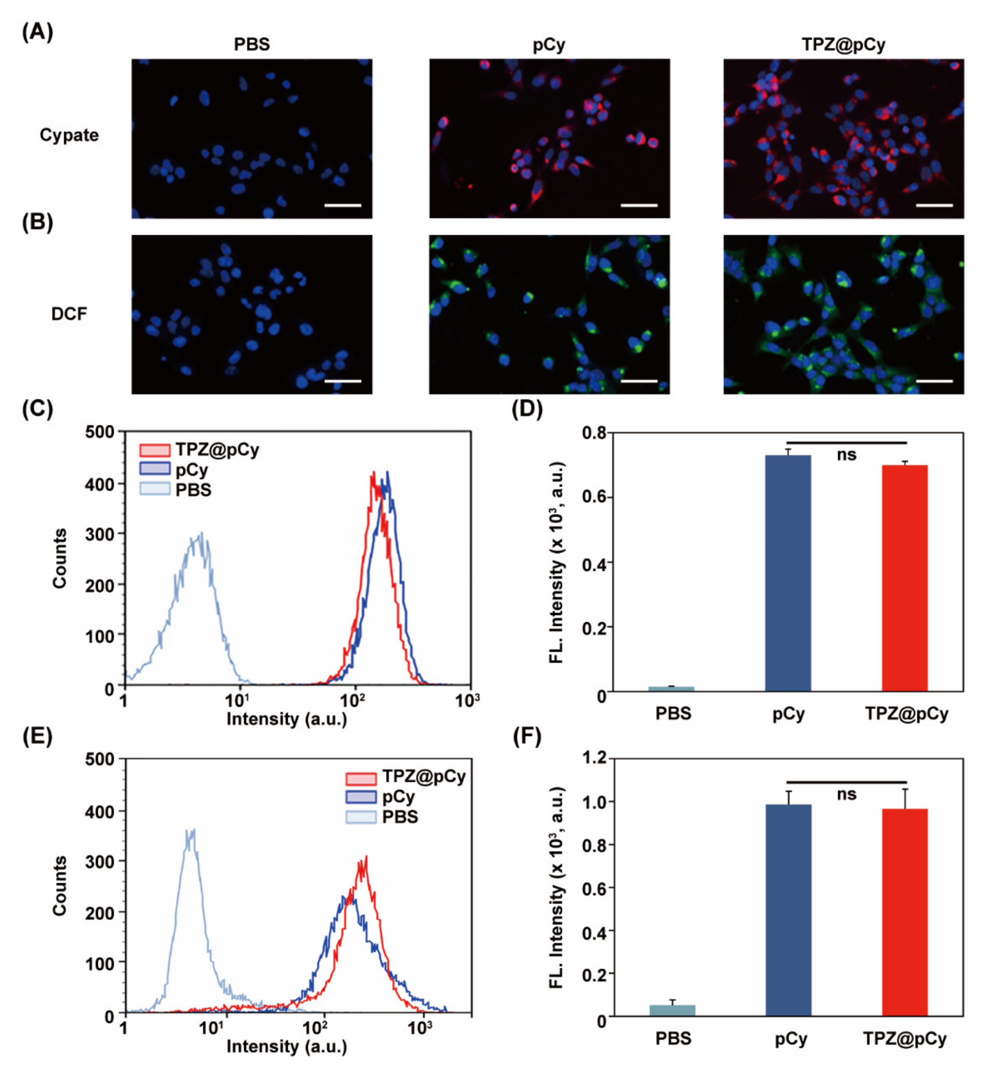 Pharmaceutics 14 00253 g005 550