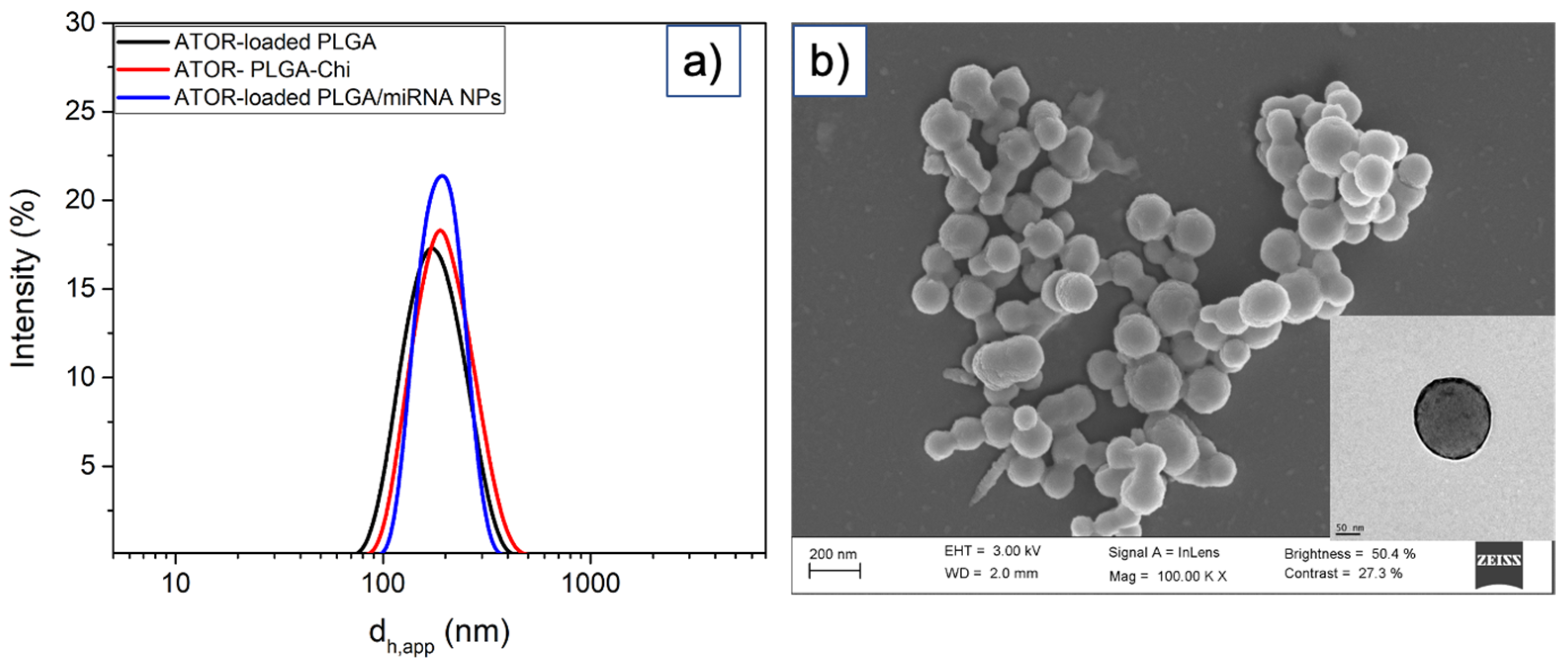 Pharmaceutics 14 00258 g001 550