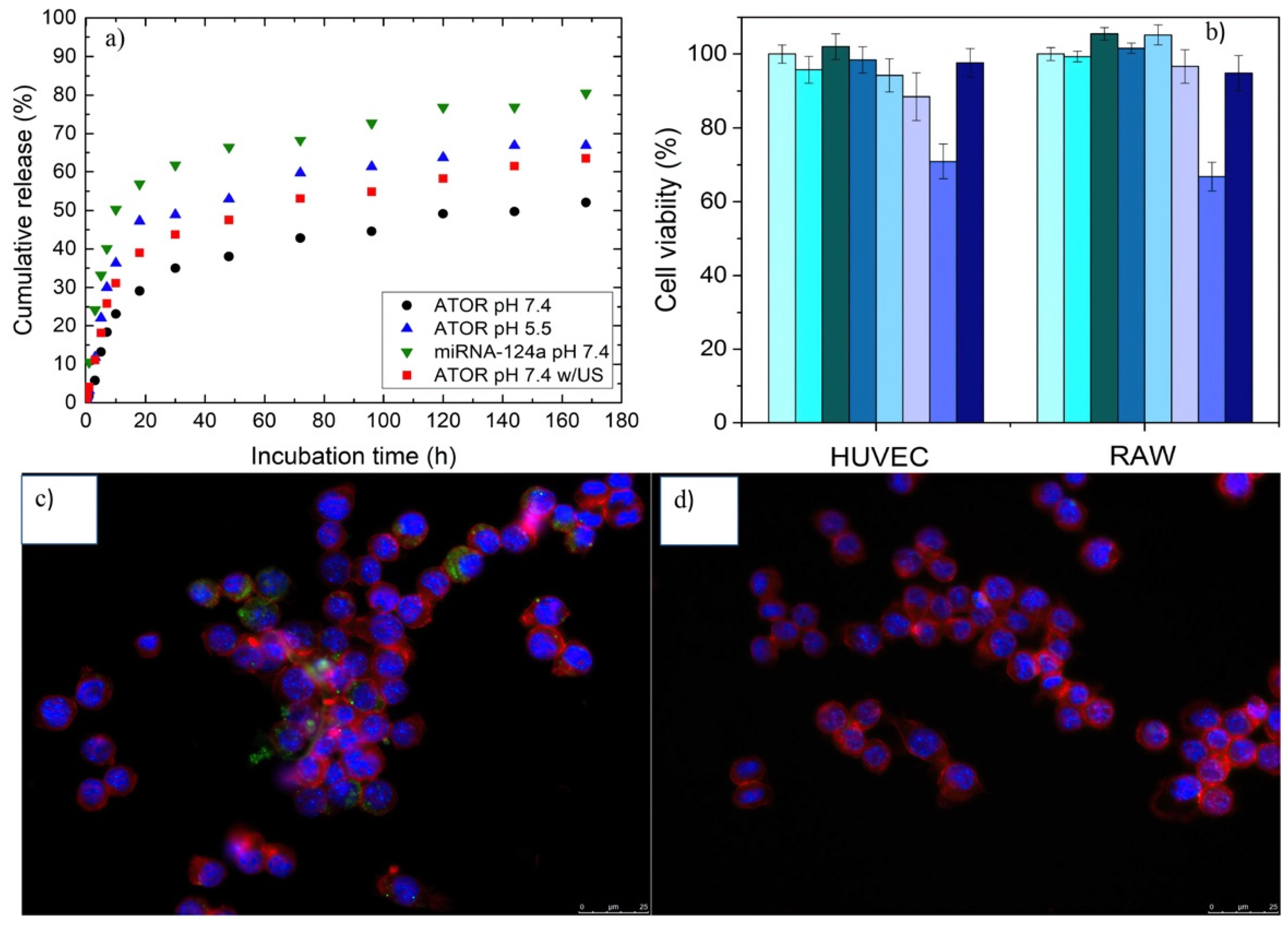Pharmaceutics 14 00258 g002 550