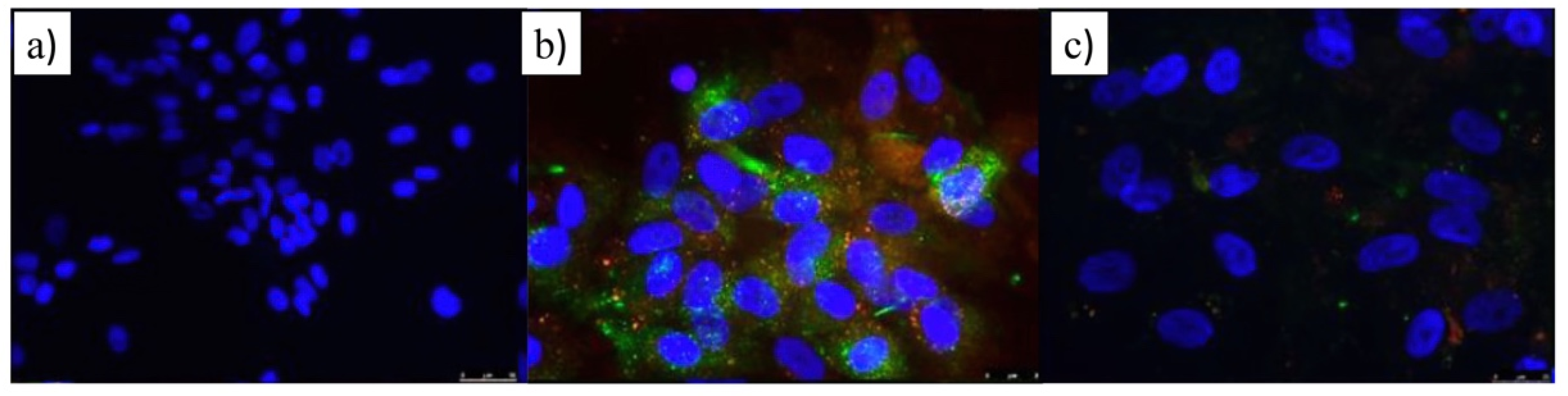 Pharmaceutics 14 00258 g006 550