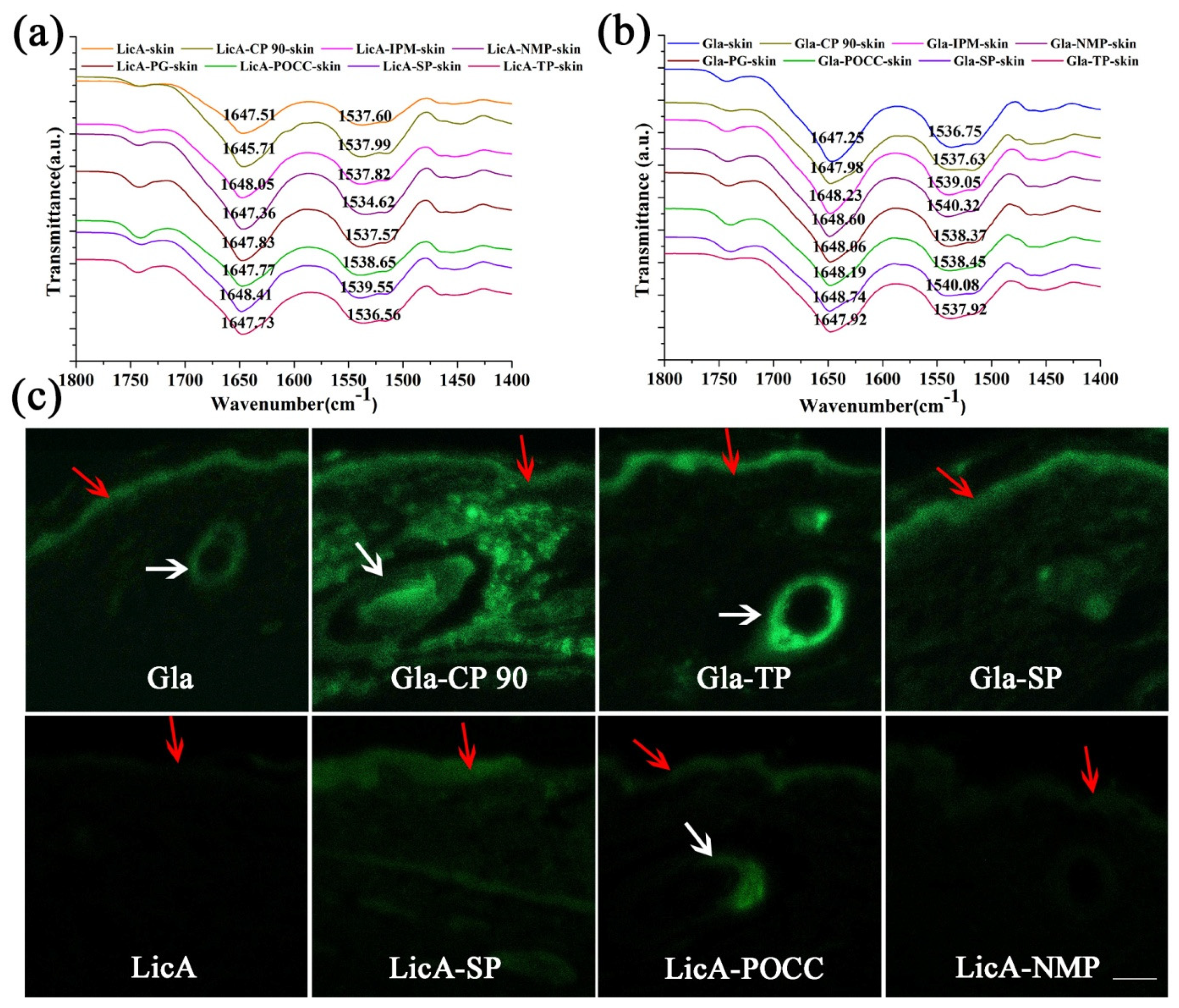 Pharmaceutics 14 00262 g007 550