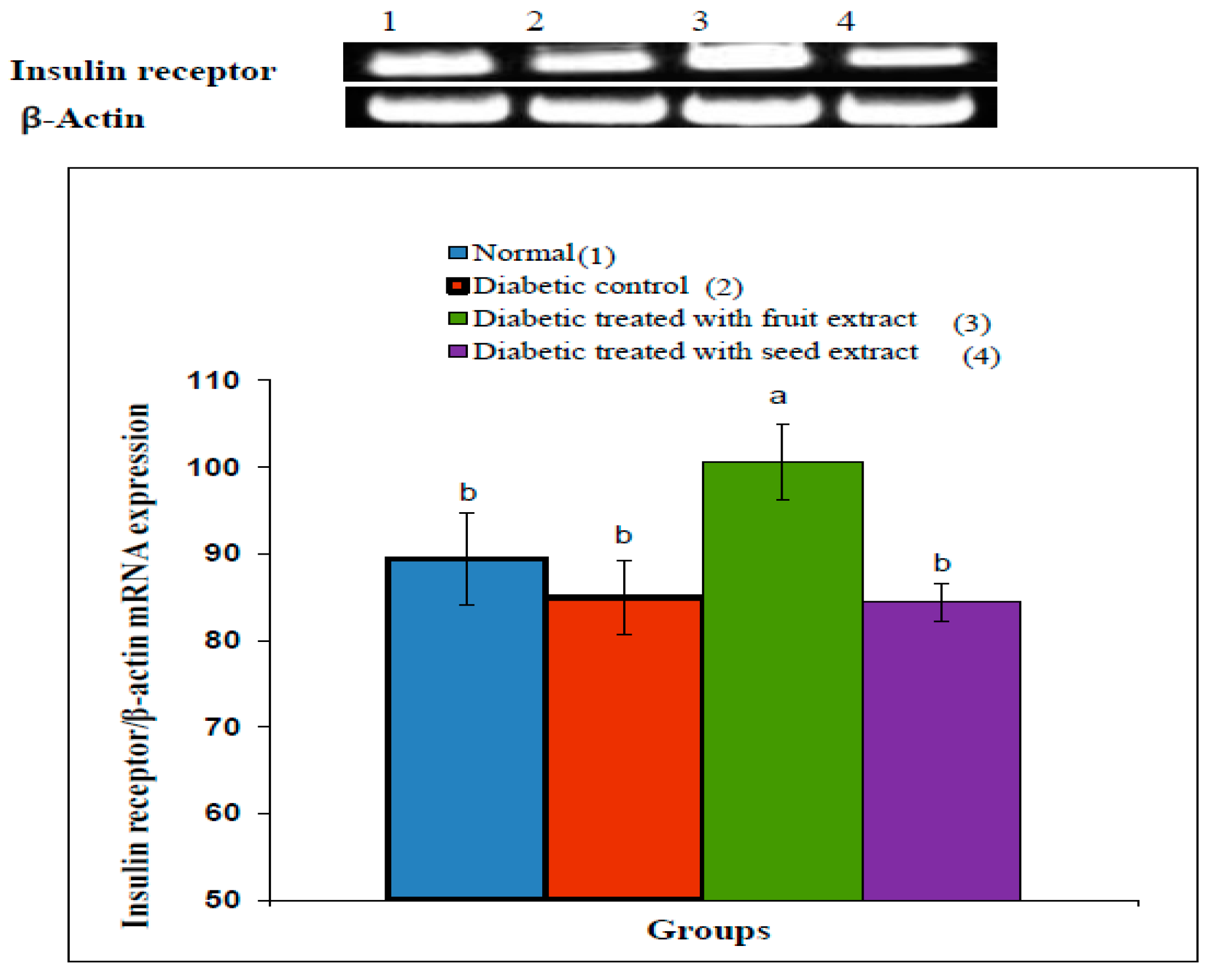 Pharmaceutics 14 00263 g004