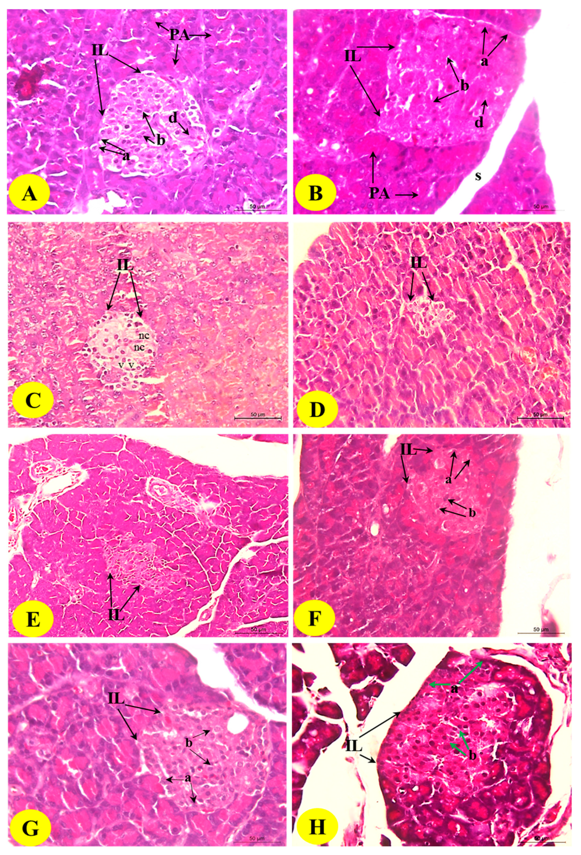 Pharmaceutics 14 00263 g005