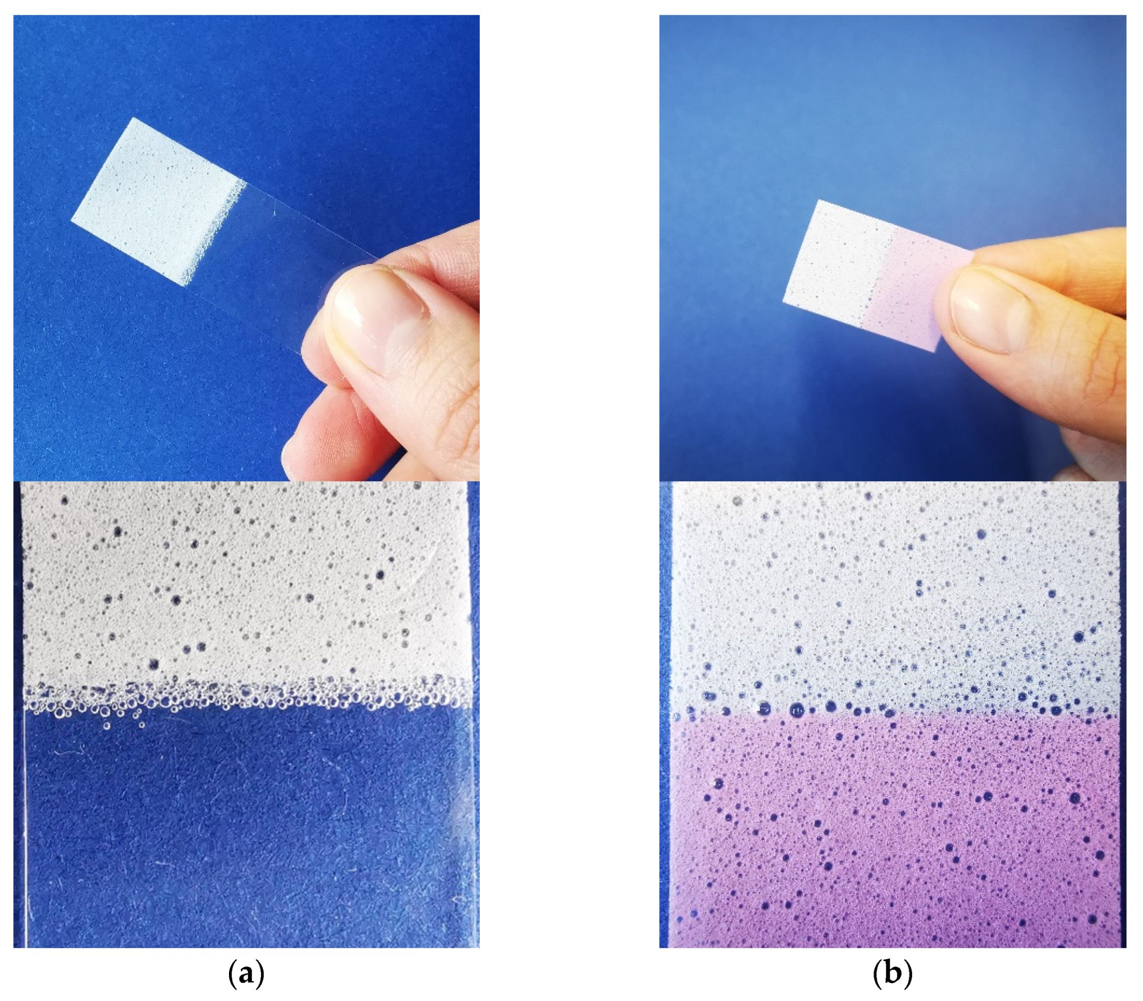 Pharmaceutics 14 00264 g009 550