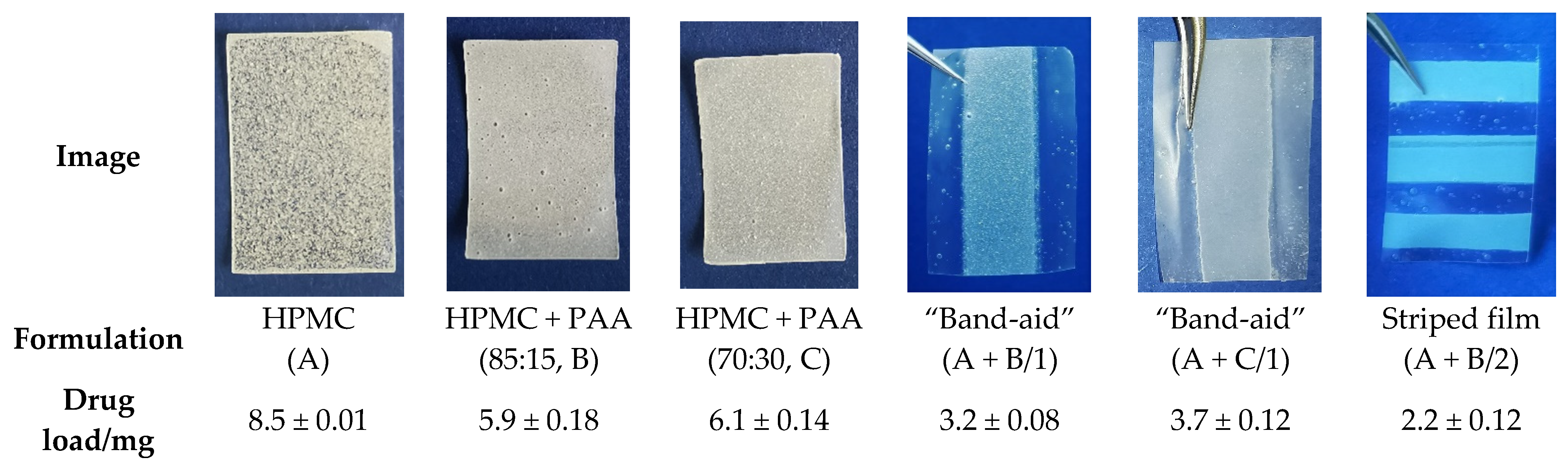 Pharmaceutics 14 00264 g010 550