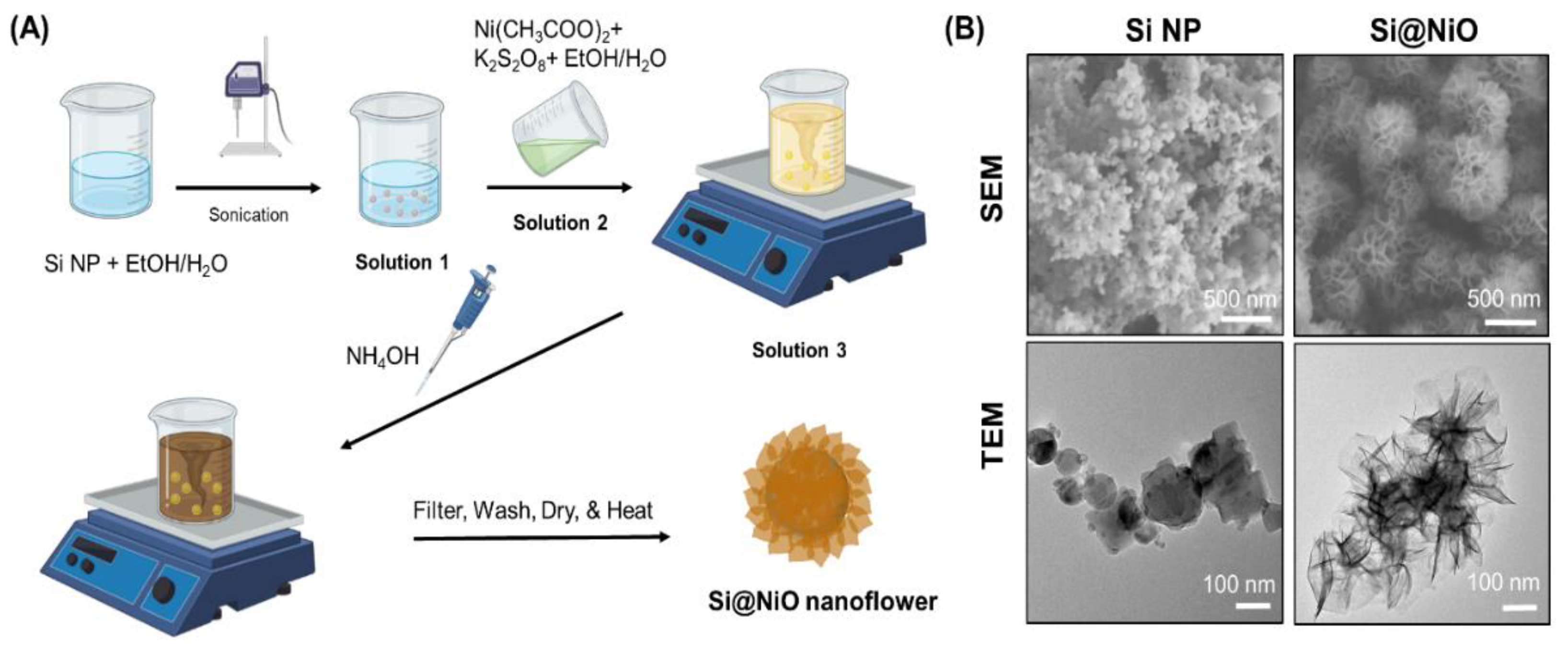 Pharmaceutics 14 00268 g001