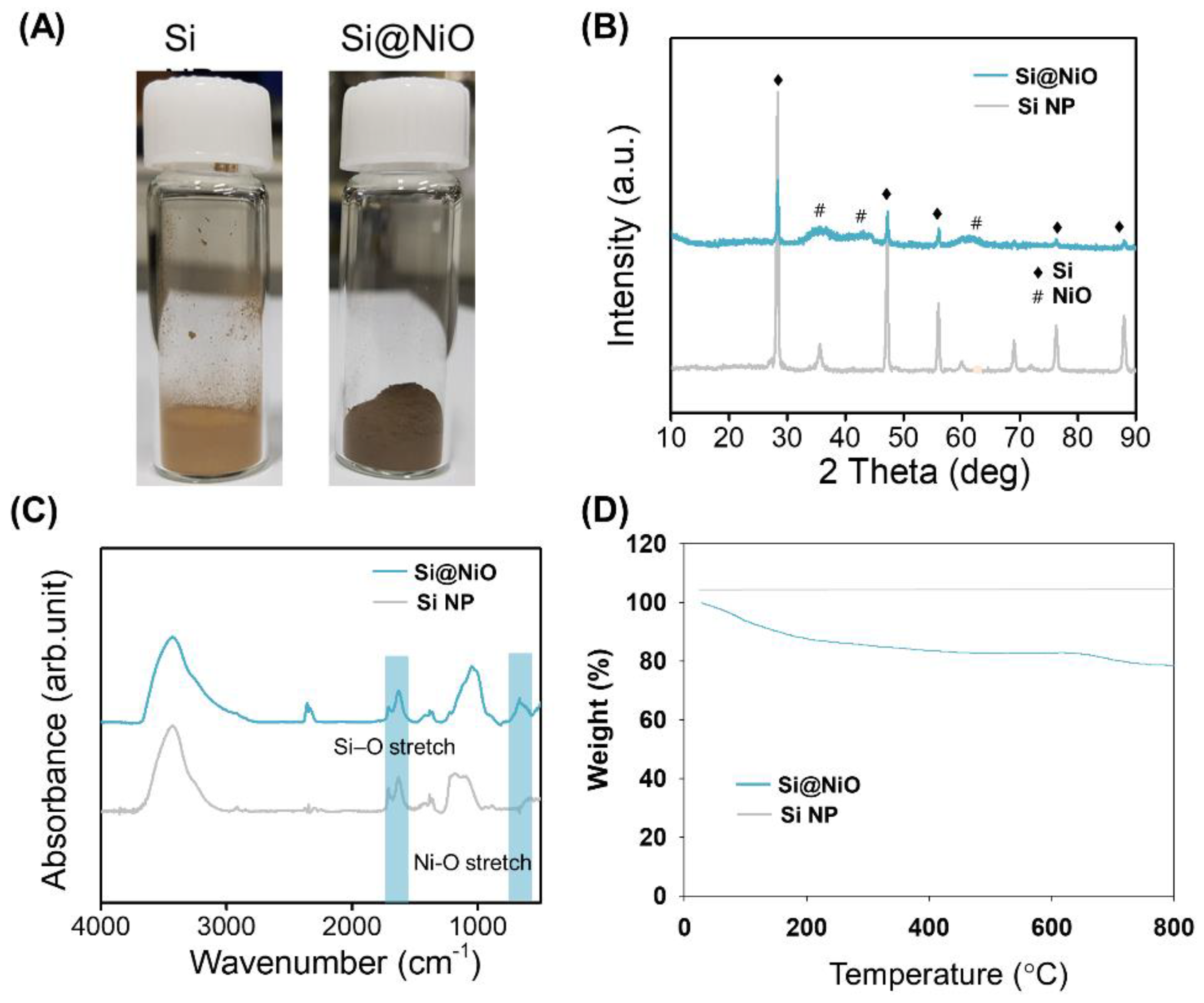 Pharmaceutics 14 00268 g002