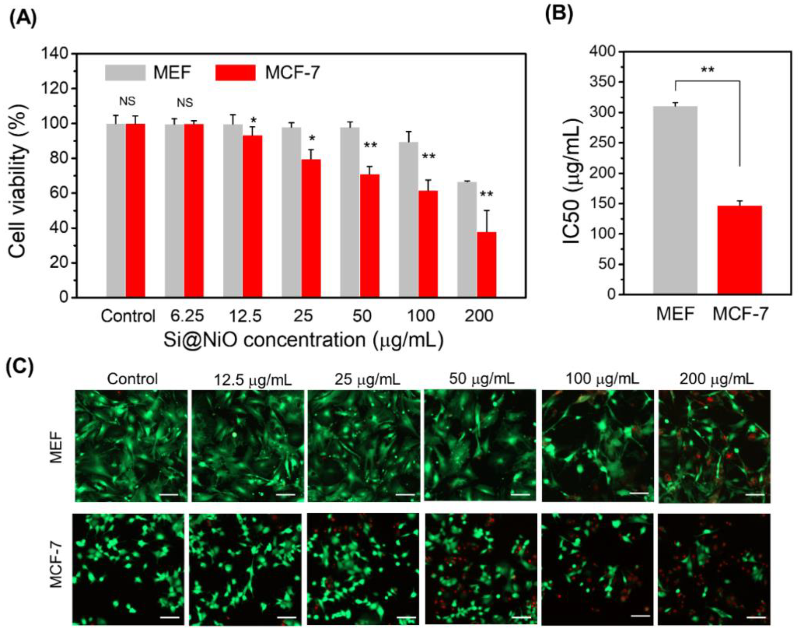 Pharmaceutics 14 00268 g006