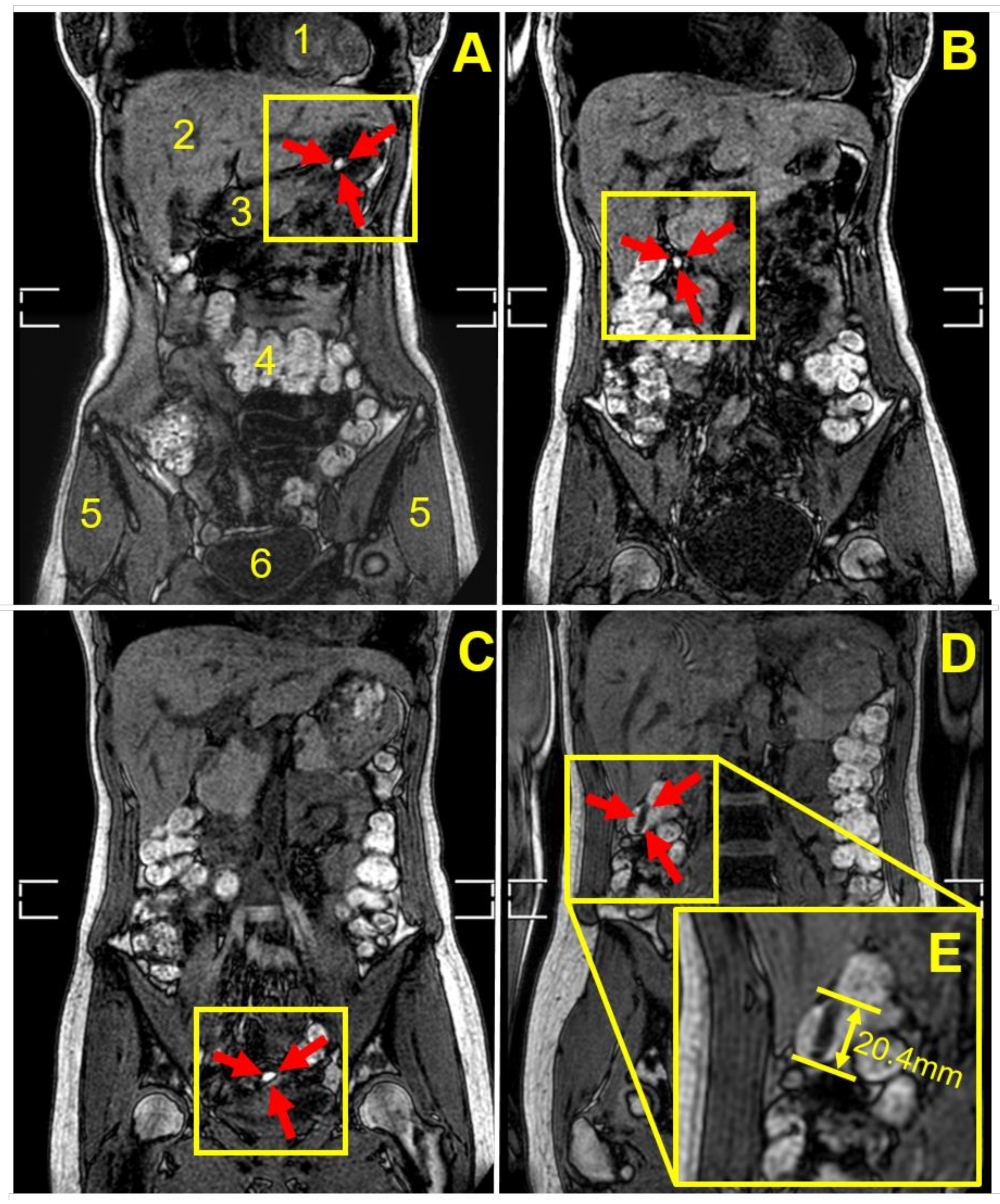 Pharmaceutics 14 00270 g002